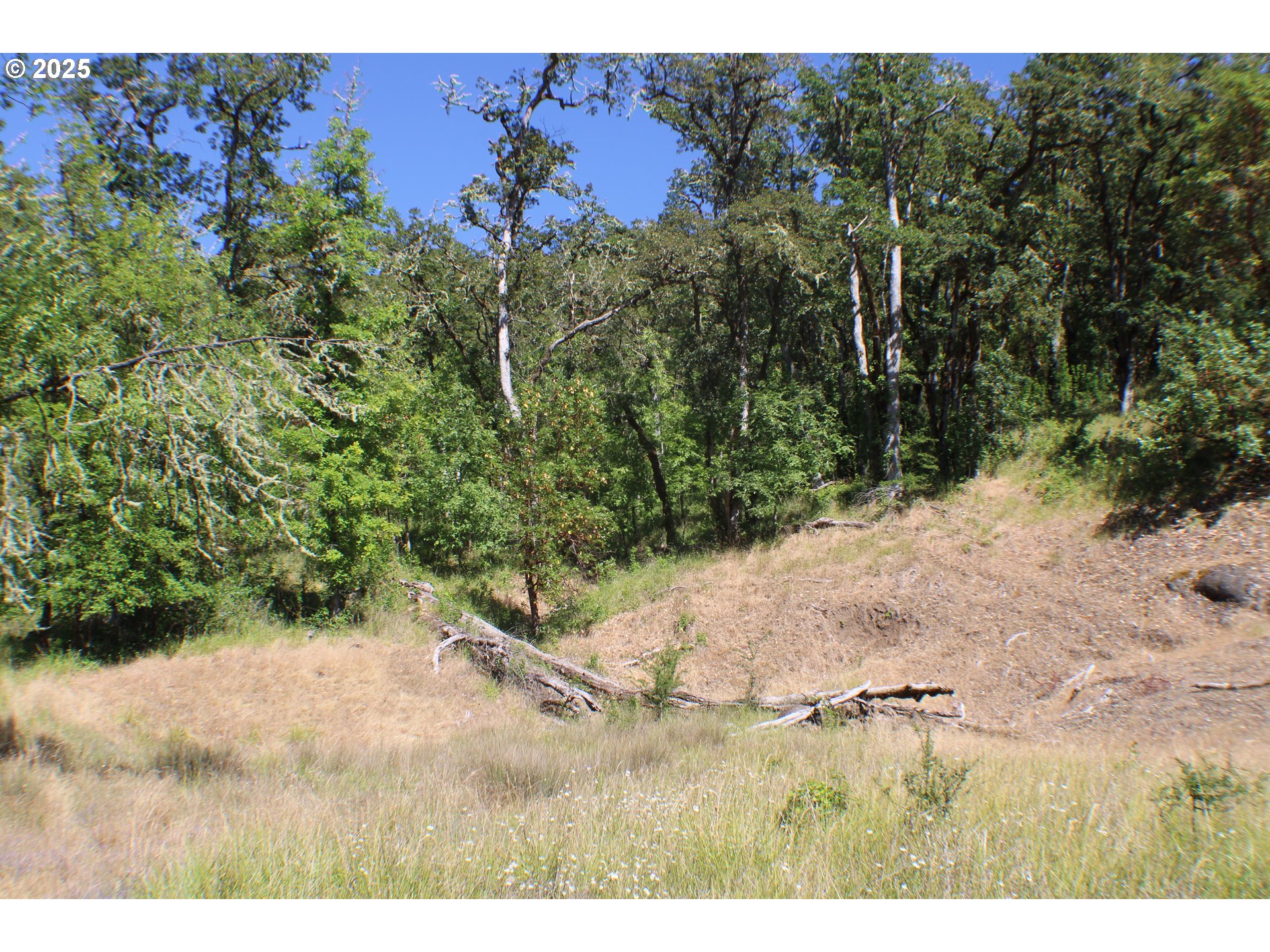 SIERRA DR, Roseburg, OR 97471