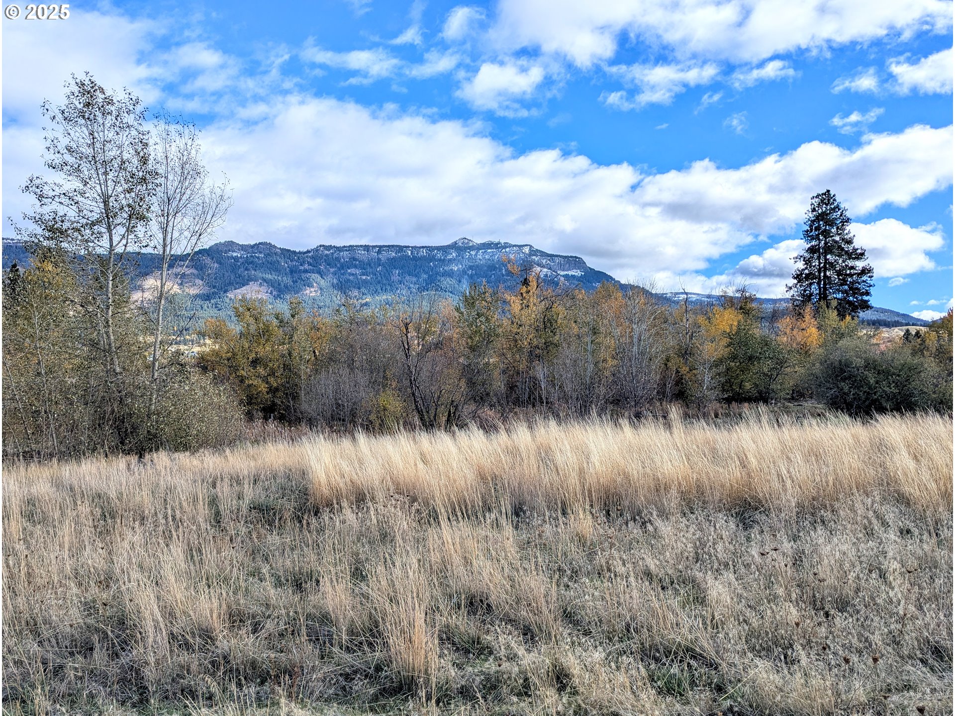 Rose Ridge RD, Cove, OR 97824