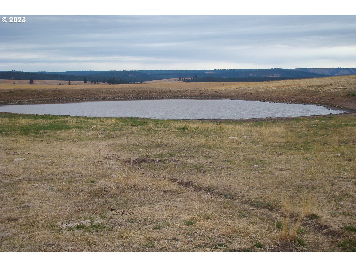 Lewis RD, Enterprise, OR 97828