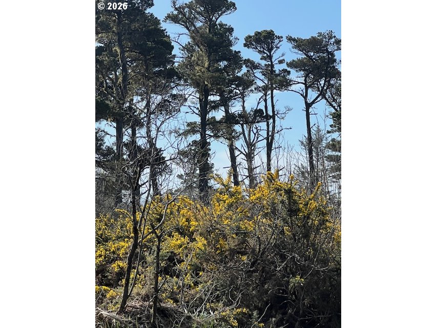 00 18th ST, Bandon, OR 97411