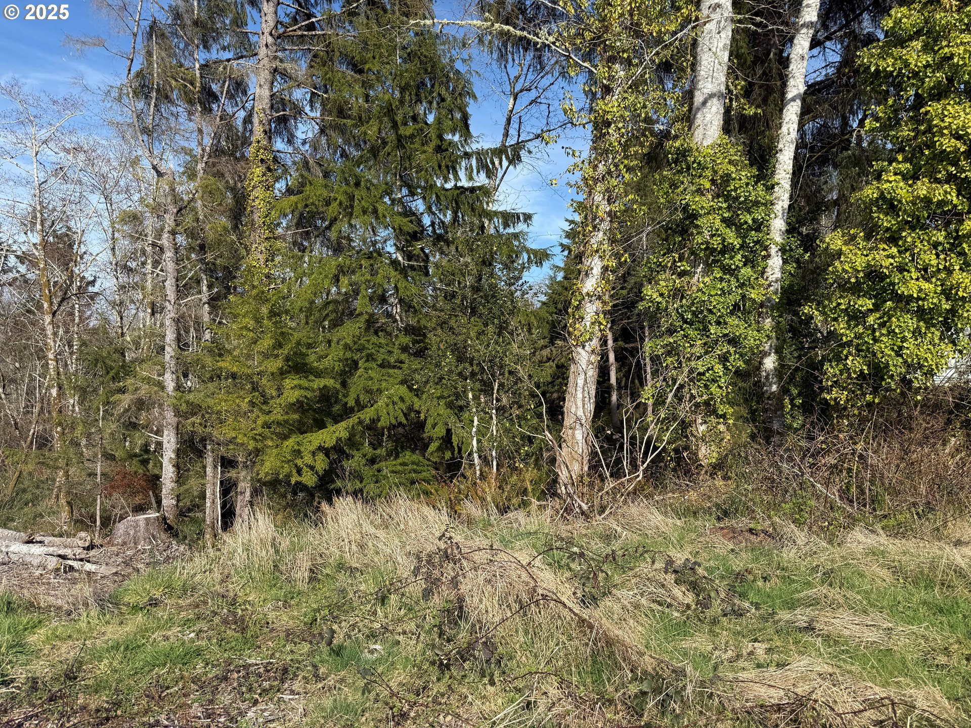 Spruce DR, Seaside, OR 97138