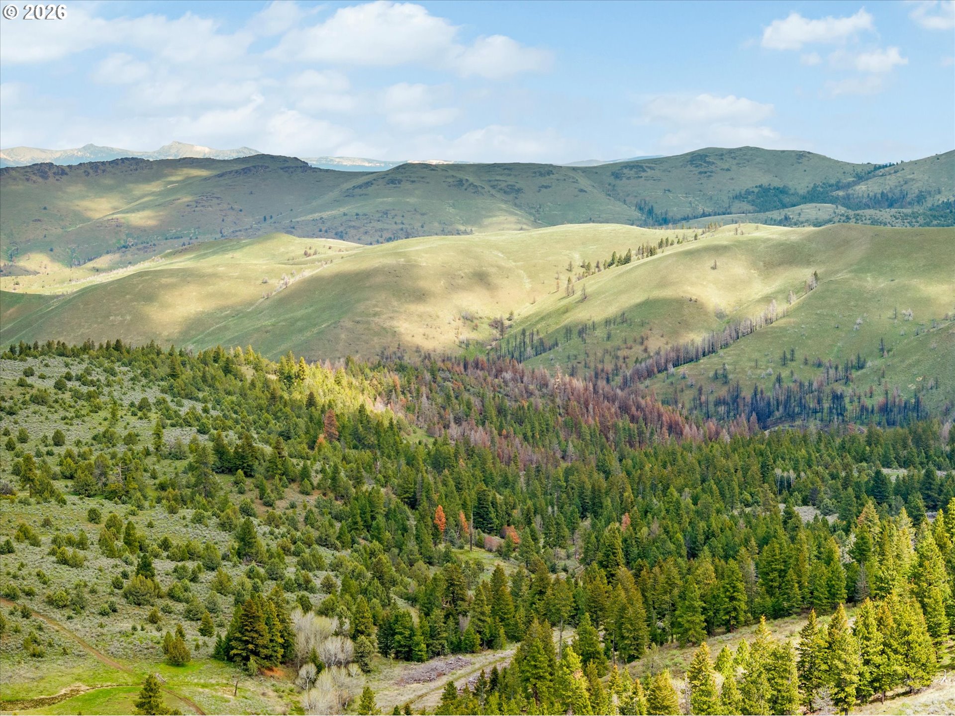 Clarks Creek Rd, Bridgeport, OR 97819