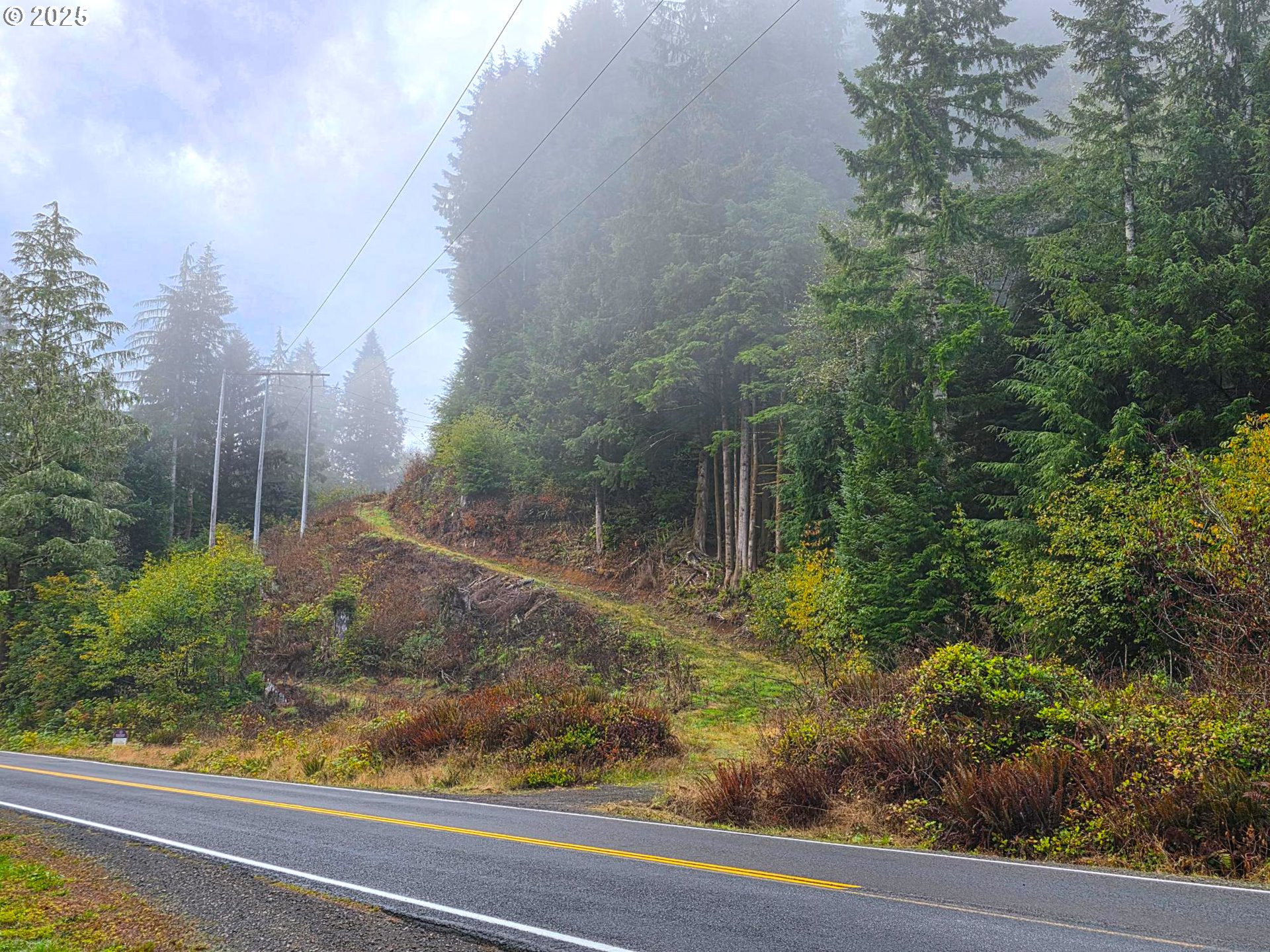 Miami Foley, Nehalem, OR 97131