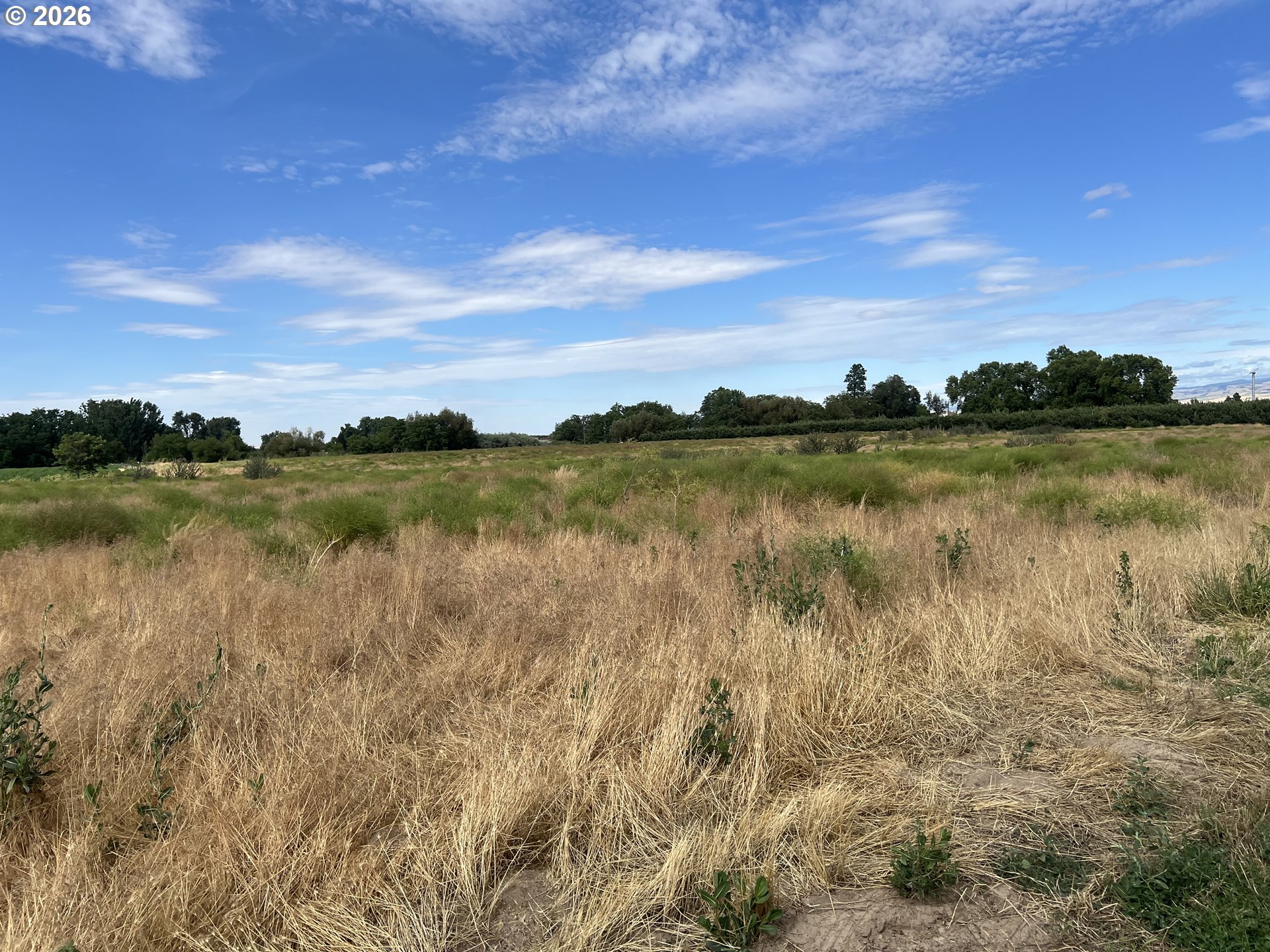 Triangle RD, MiltonFreewater, OR 97862