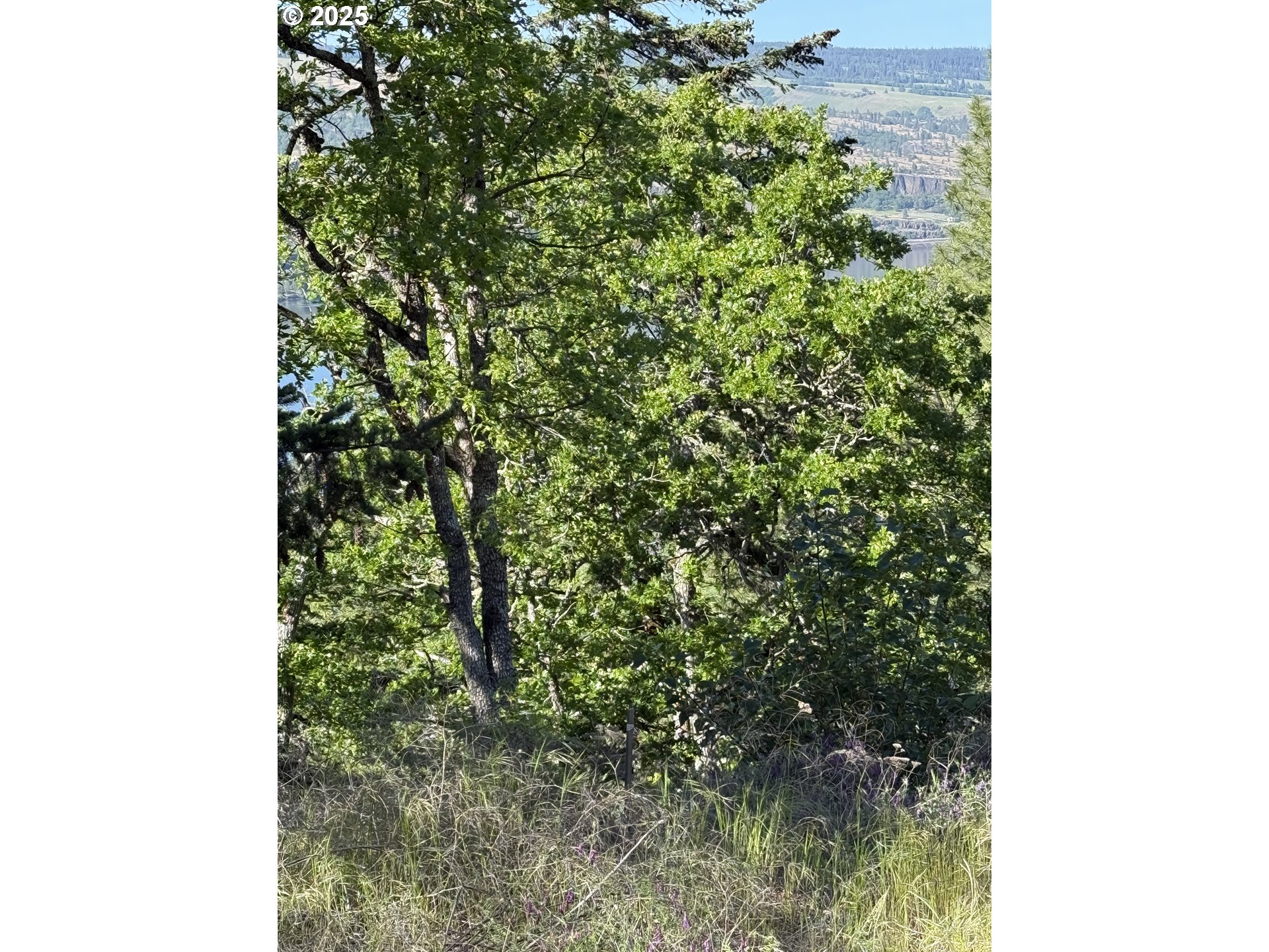 Coyote CT, Mosier, OR 97040
