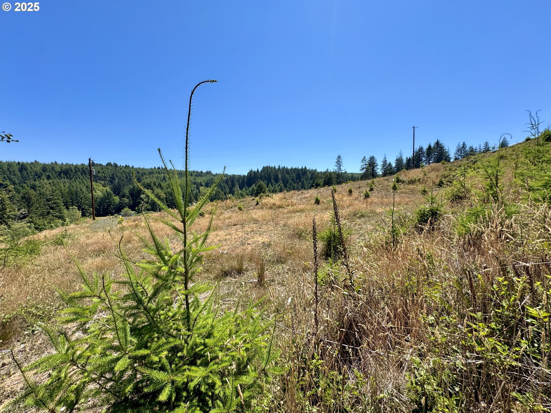 00000 Trail LN, CoosBay, OR 97420