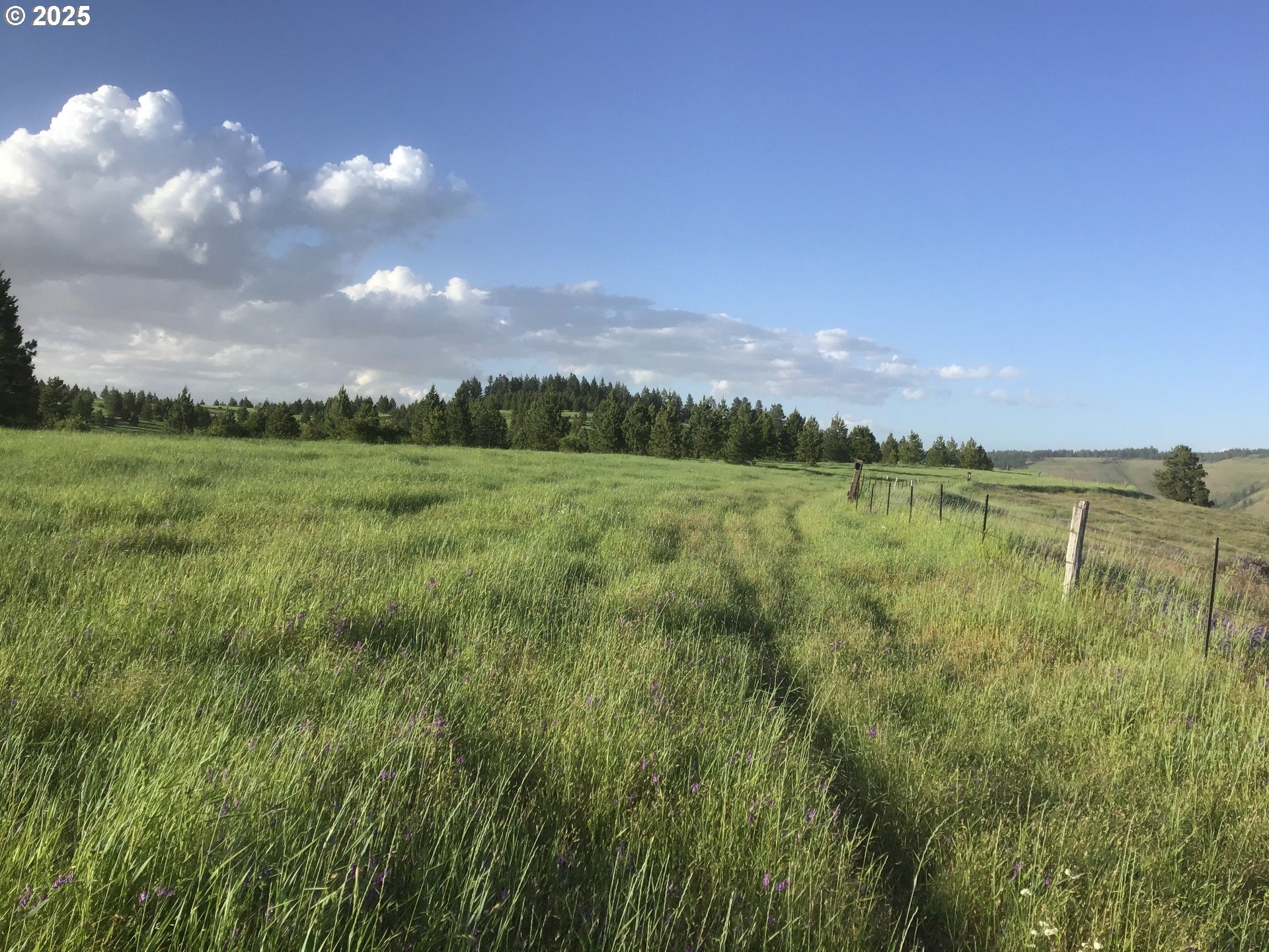 Hansell Road, Weston, OR 97886