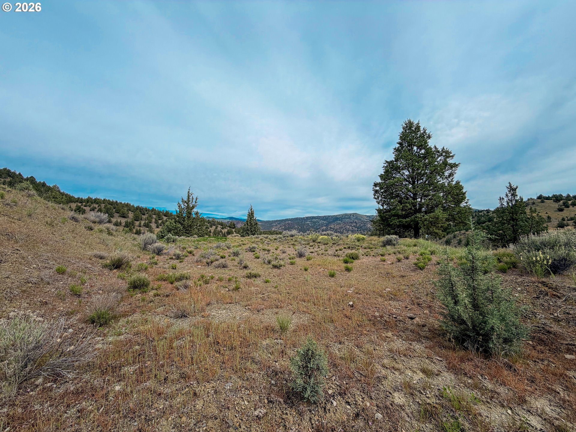 Luce Creek RD, JohnDay, OR 97845