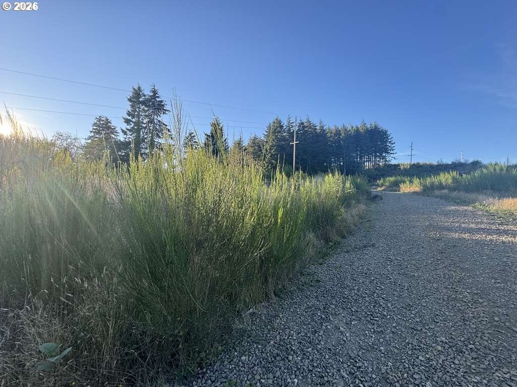 Schooner Creek RD, LincolnCity, OR 97367