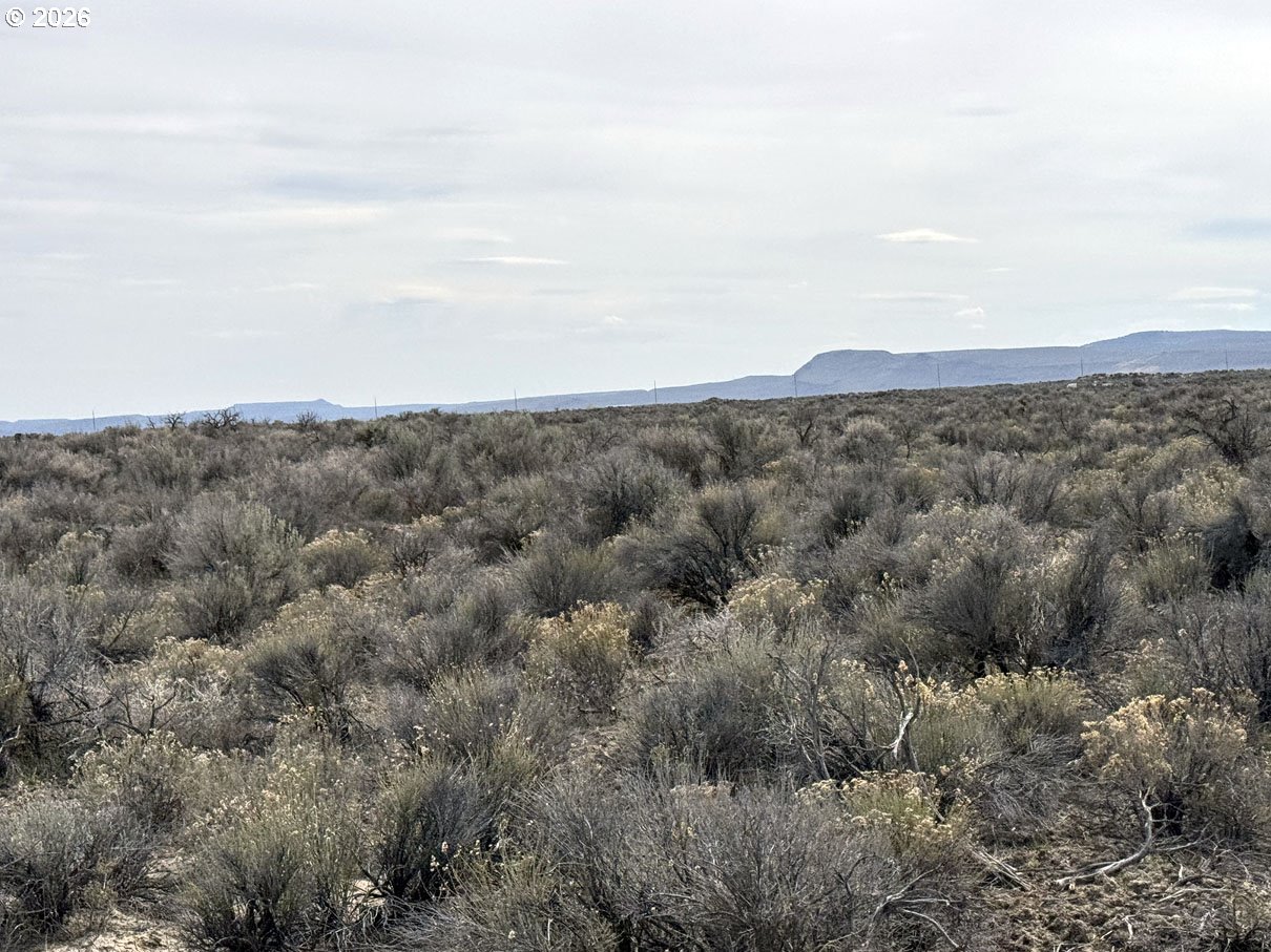 Fossil Lake Road, ChristmasValley, OR 97641
