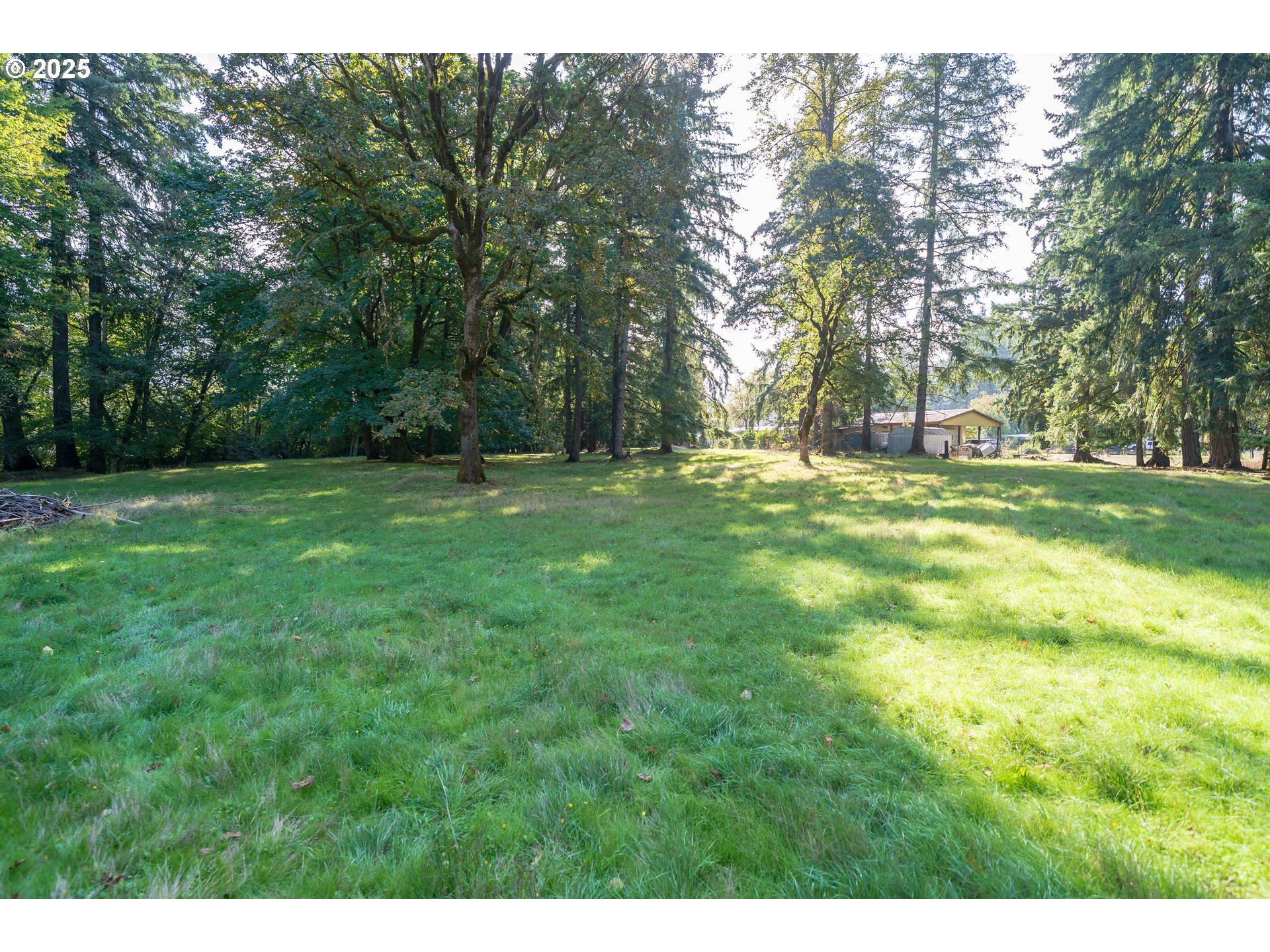 0002317 Dogwood DR (NEXT TO), Lyons, OR 97358