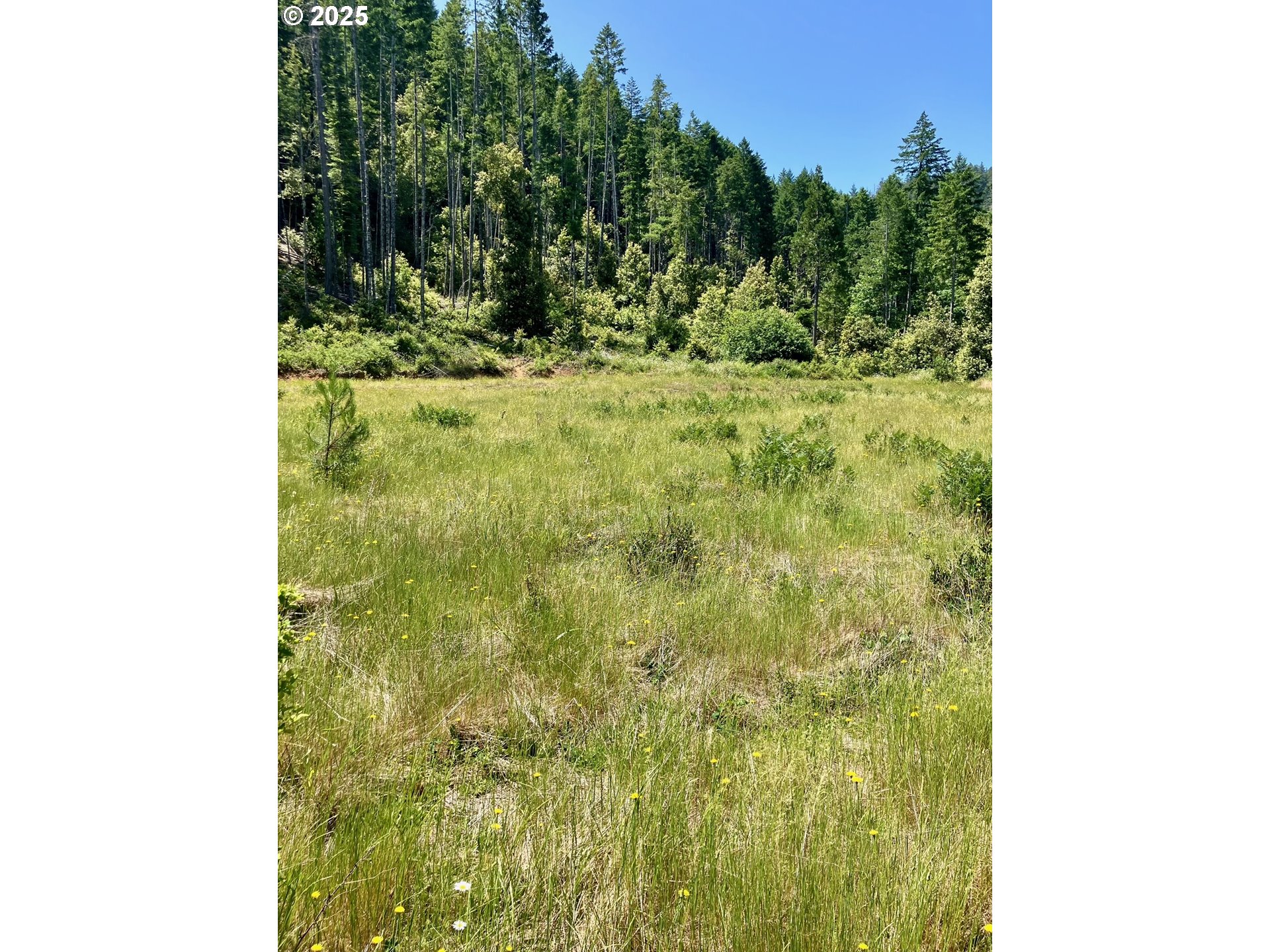 REDWOOD HWY, OBrien, OR 97534
