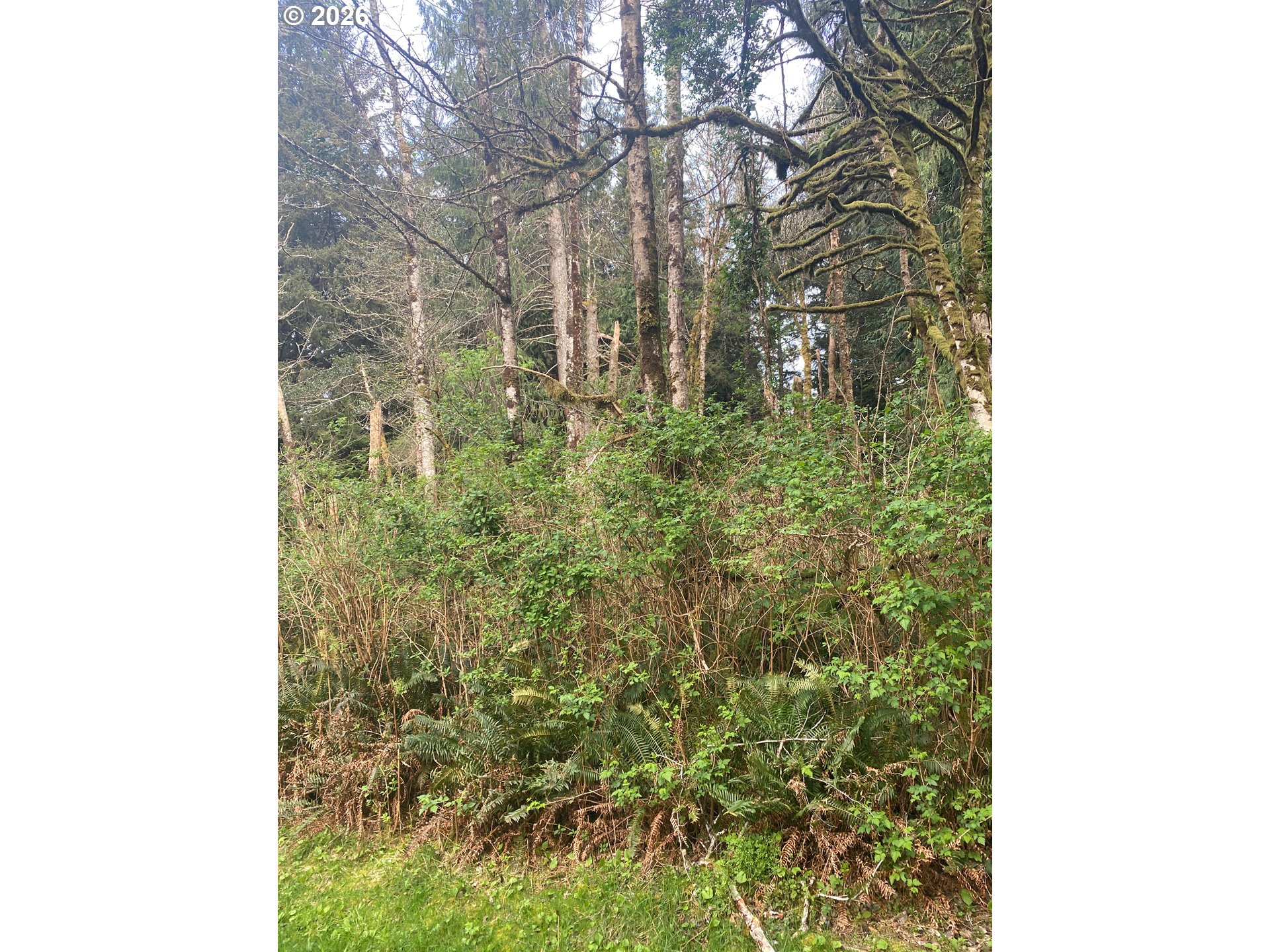 1000 54th DR, LincolnCity, OR 97367