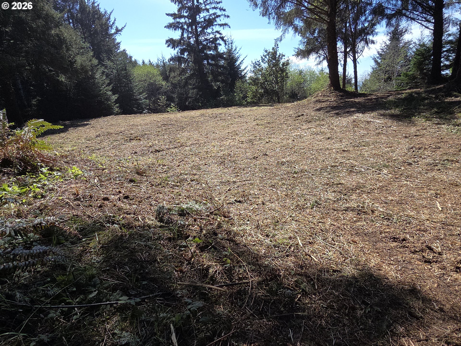 Hammond LN, GoldBeach, OR 97444