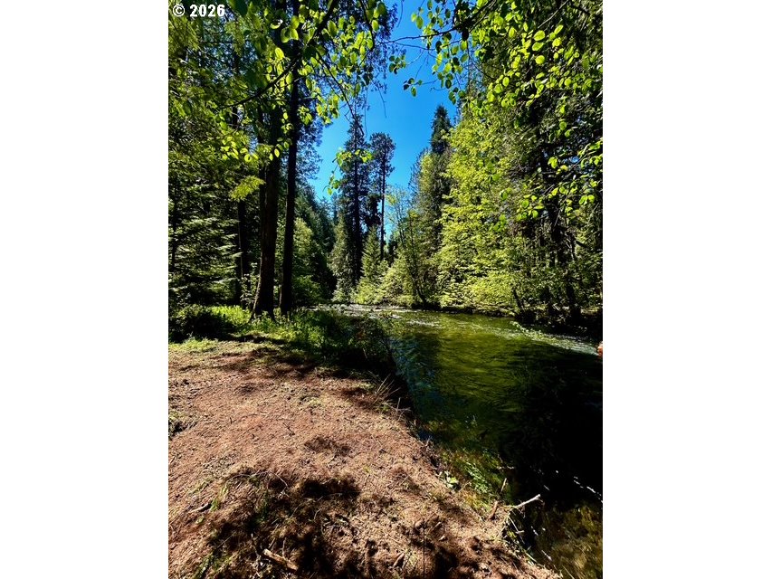 McKenzie HWY, McKenzieBridge, OR 97413