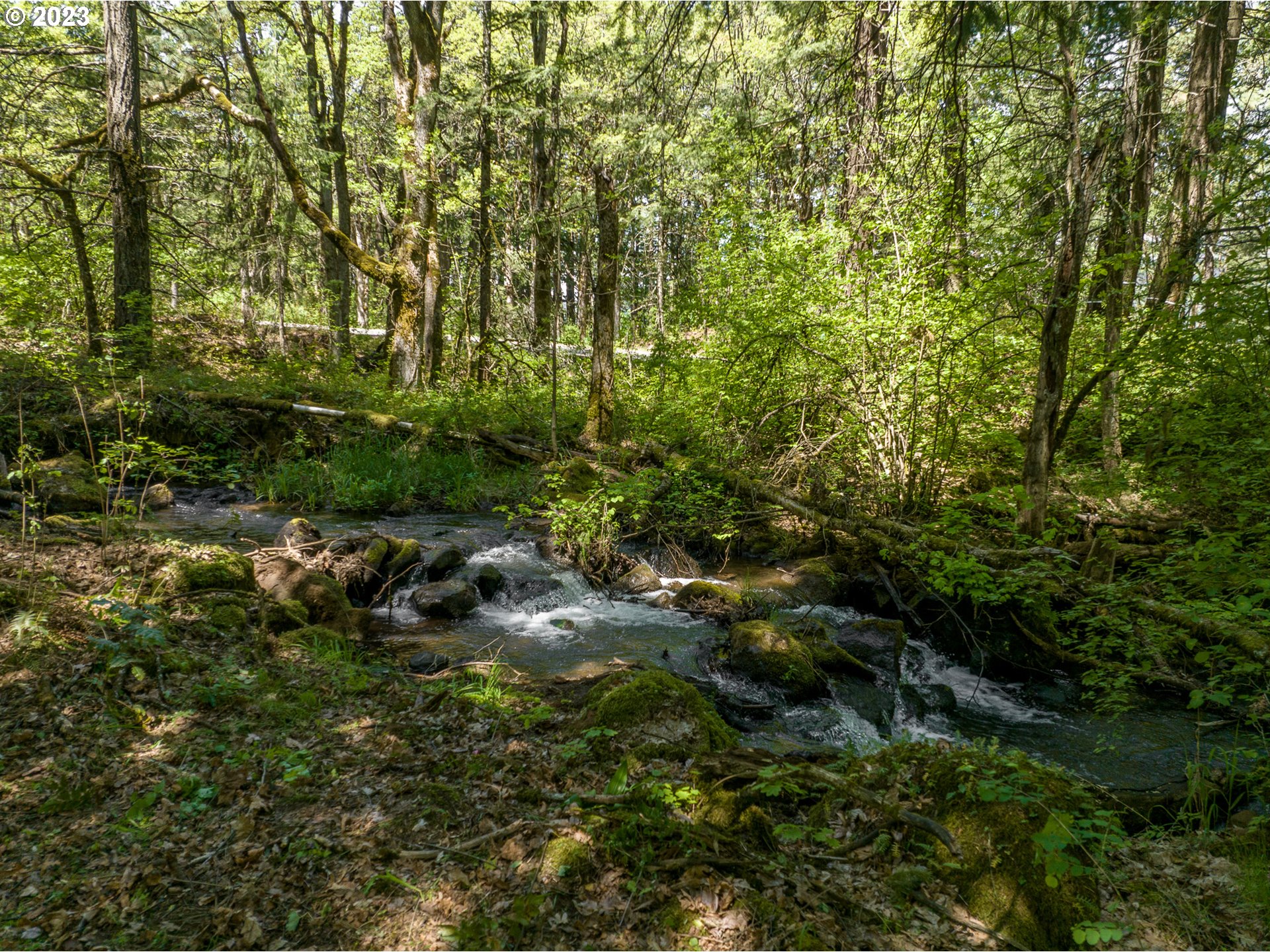455 COUNTRY CLUB RD, HoodRiver, OR 97031