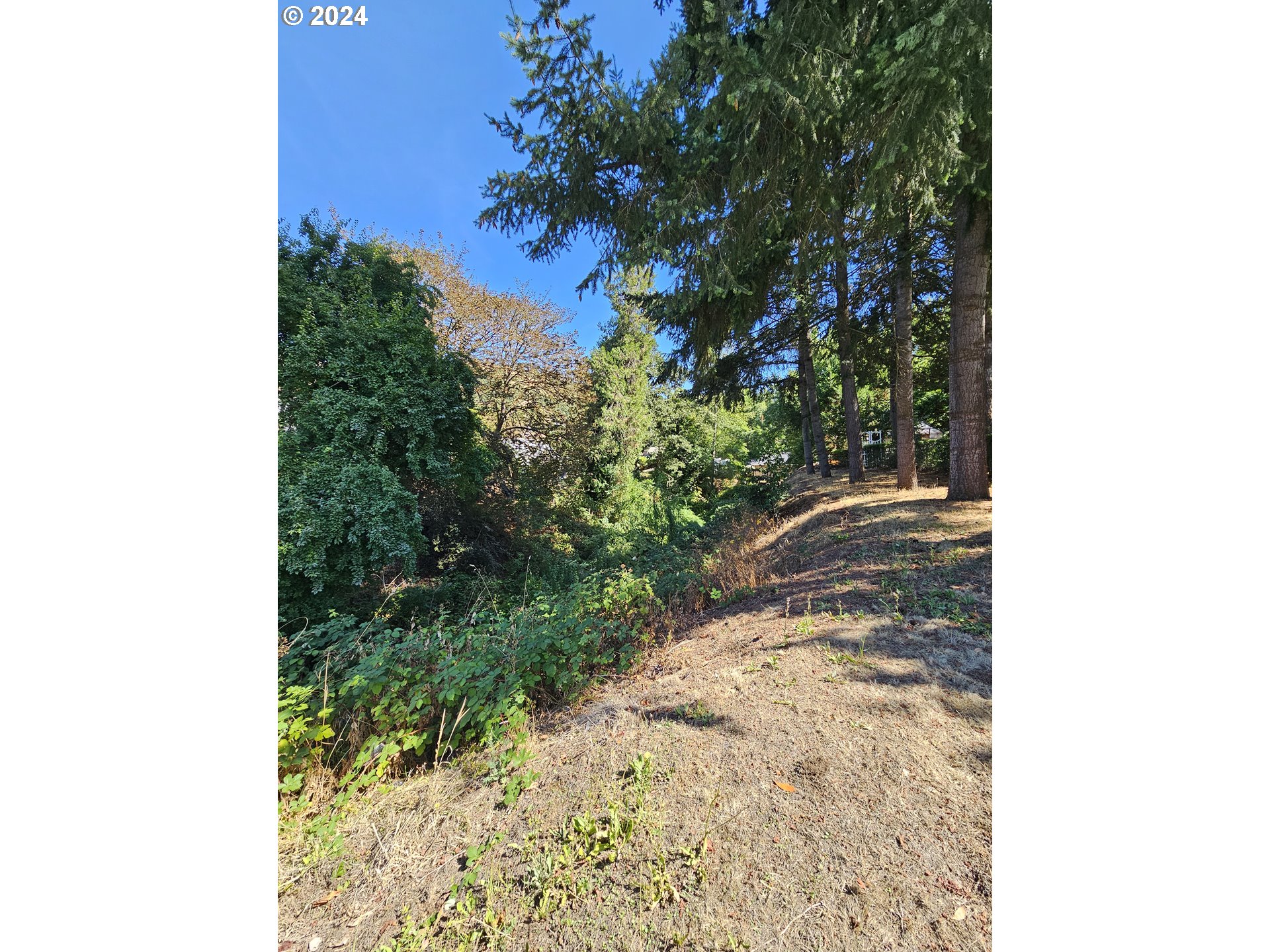 1843 MAIN ST, Roseburg, OR 97470