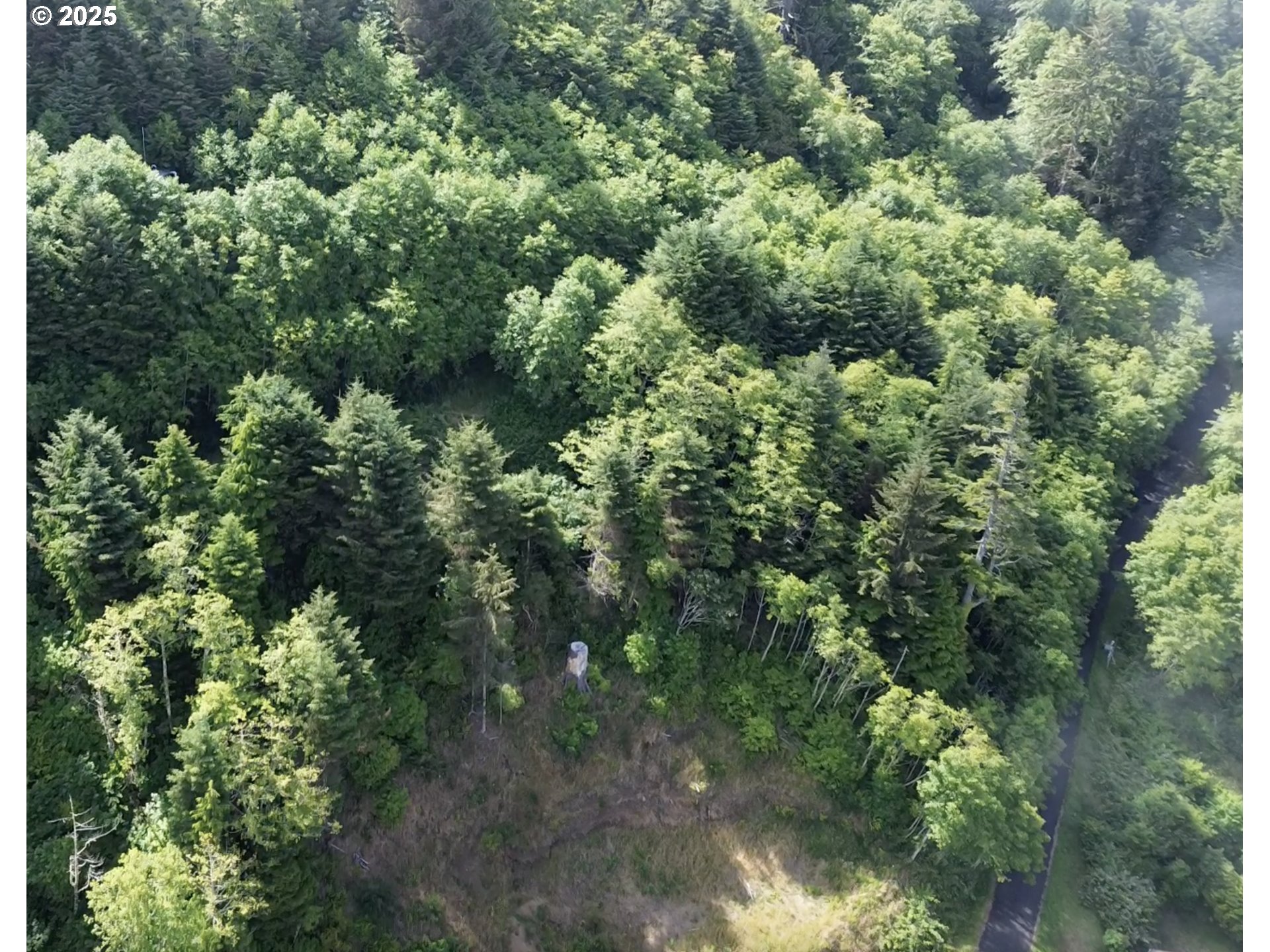 Gimlet LN, Yachats, OR 97498