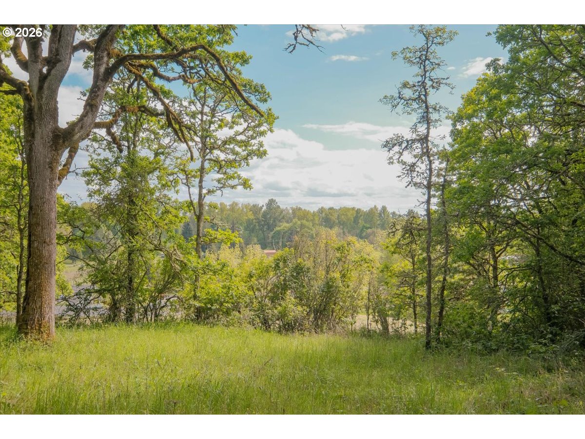 Kouns DR, Albany, OR 97321