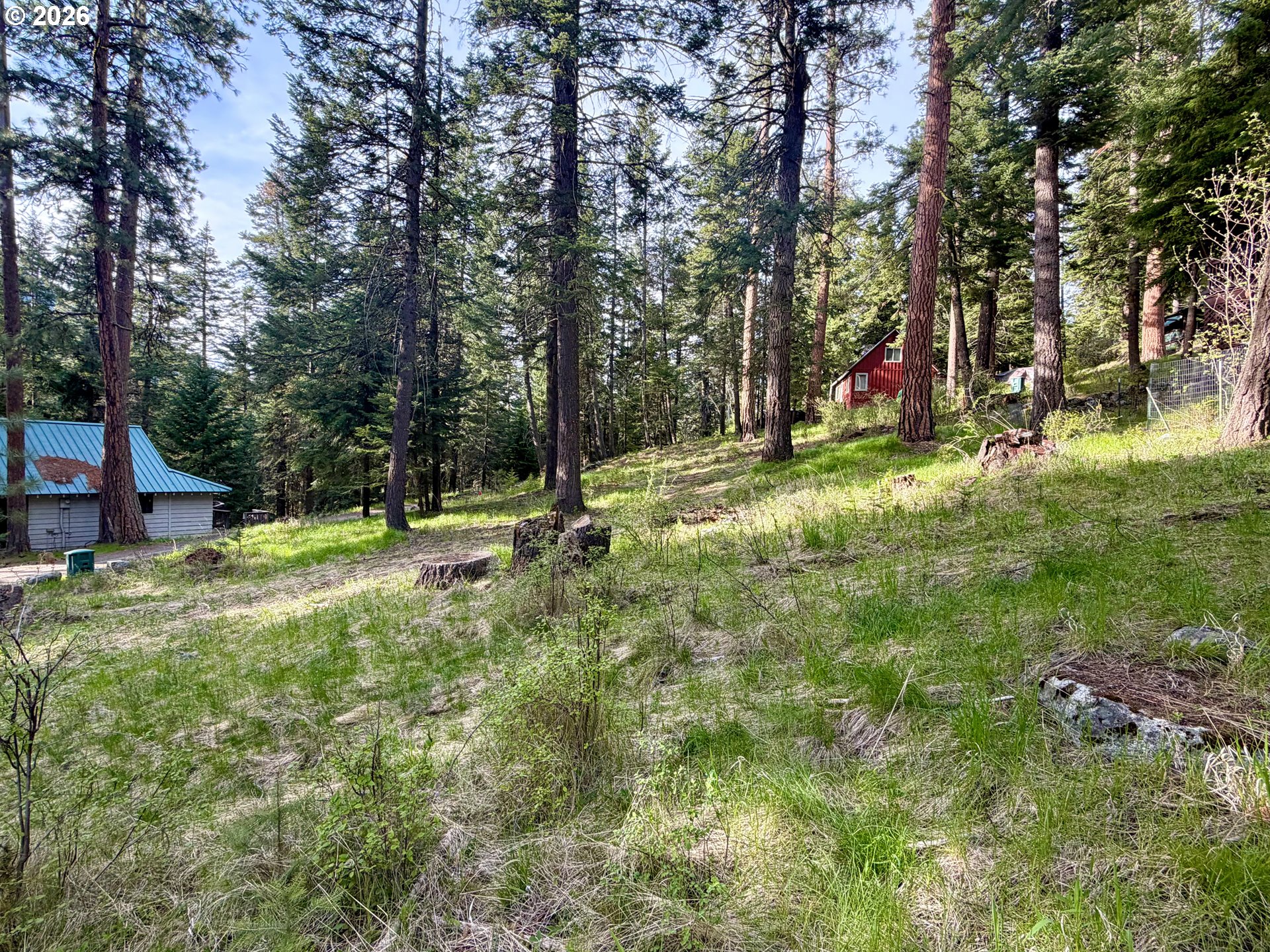 Forest Dell AVE, WallowaLake, OR 97846