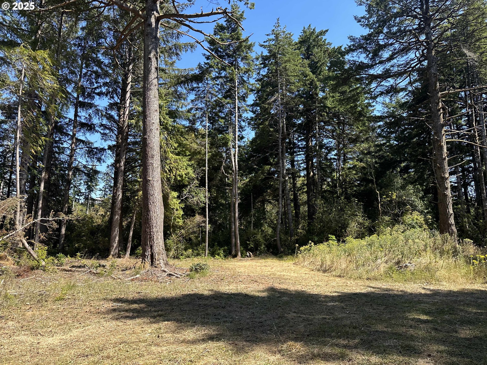 HWY 101, PortOrford, OR 97465