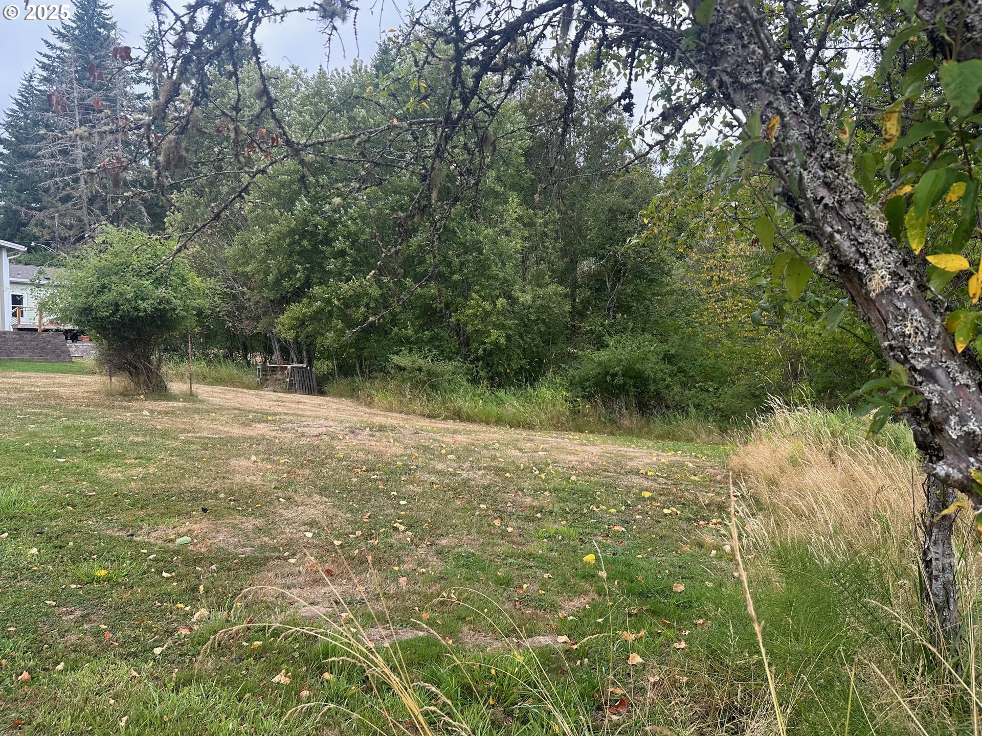 5th and 6th ST, Vernonia, OR 97064