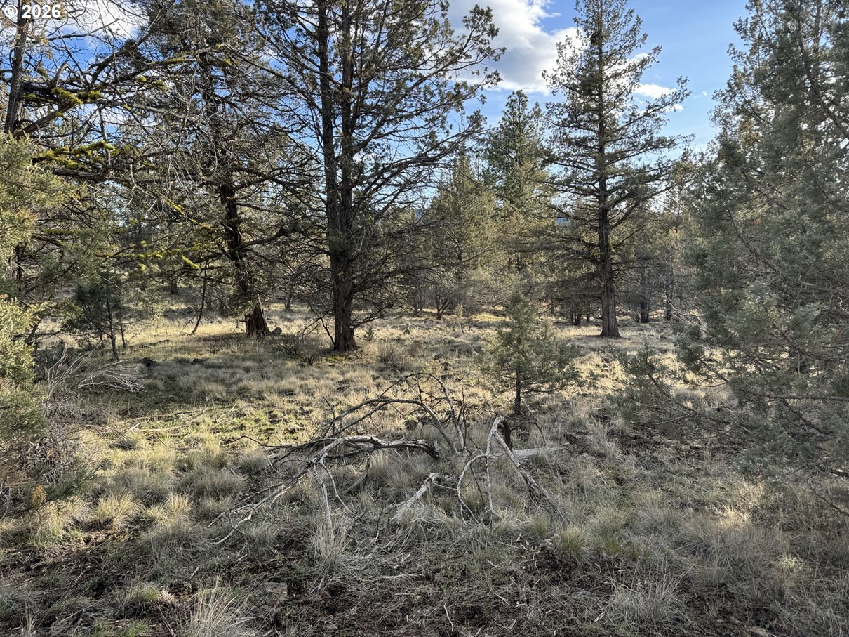 Canvasback DR, Bonanza, OR 97623