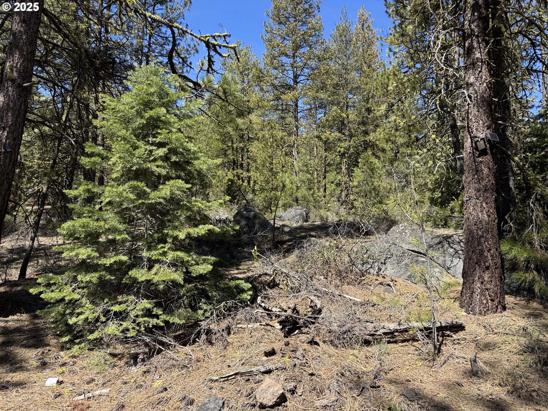 Horned Owl LN, Bonanza, OR 97623