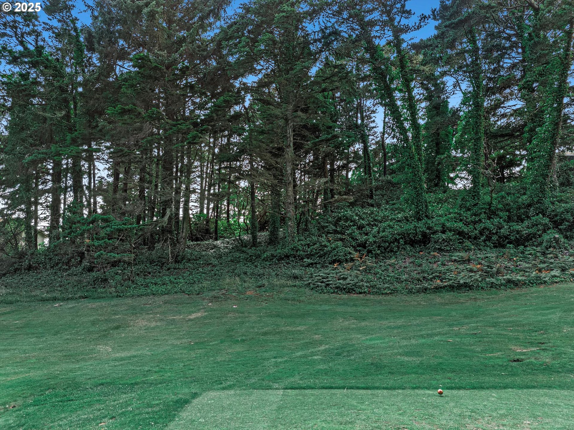 17 OCEAN CREST LN, GlenedenBeach, OR 97388