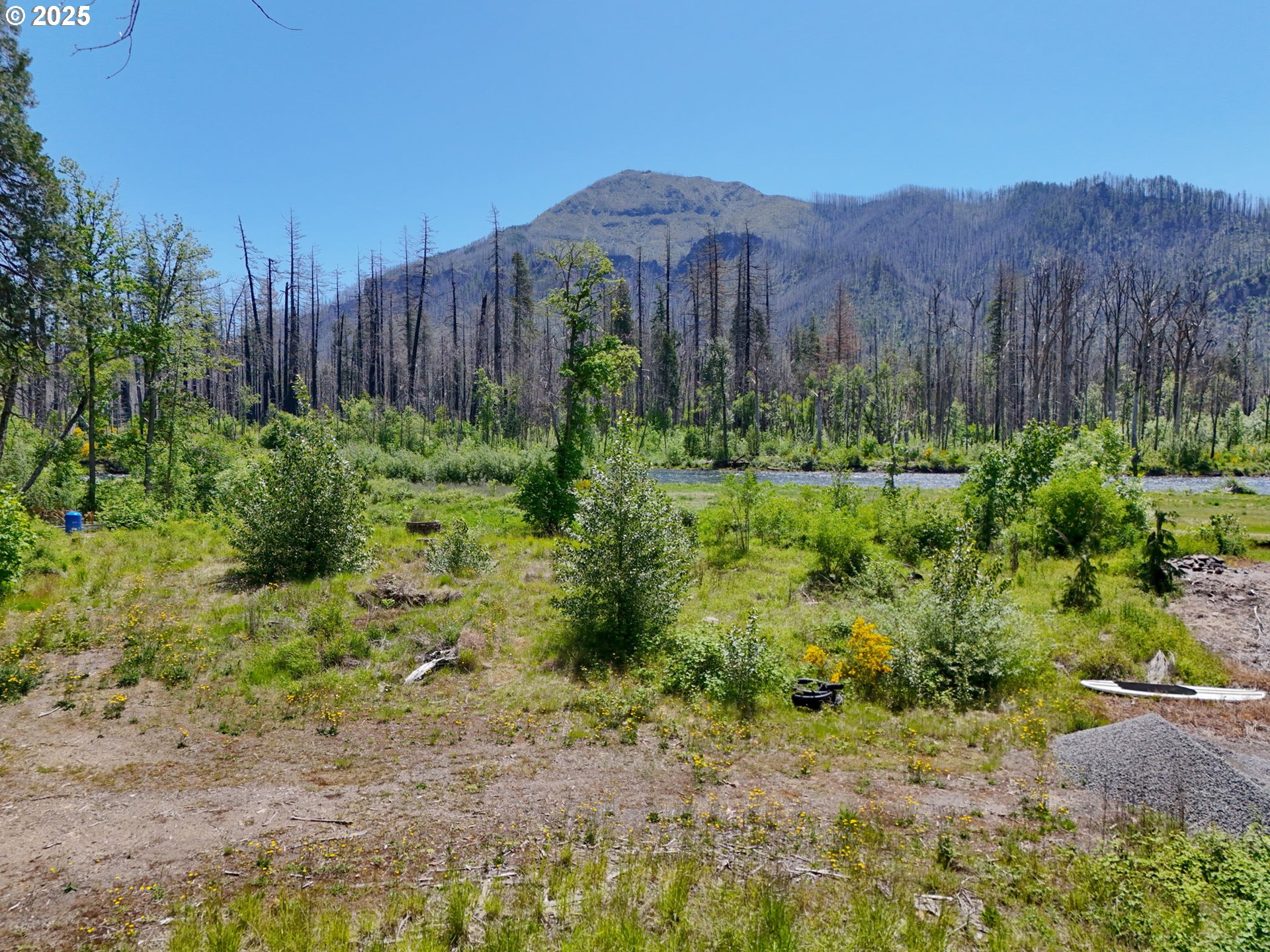 52958 MCKENZIE HWY, BlueRiver, OR 97413