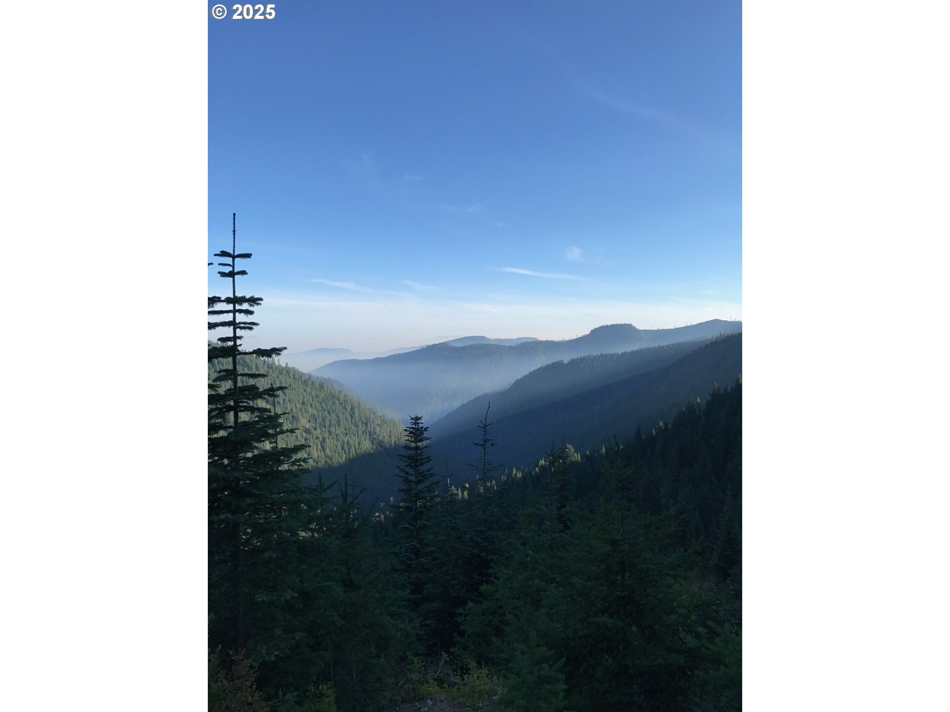 Champion Creek RD, CottageGrove, OR 97424
