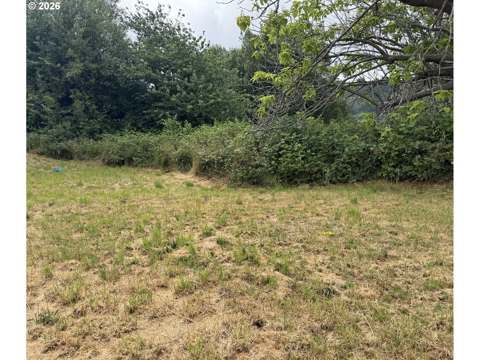 00 A ST, MyrtlePoint, OR 97458