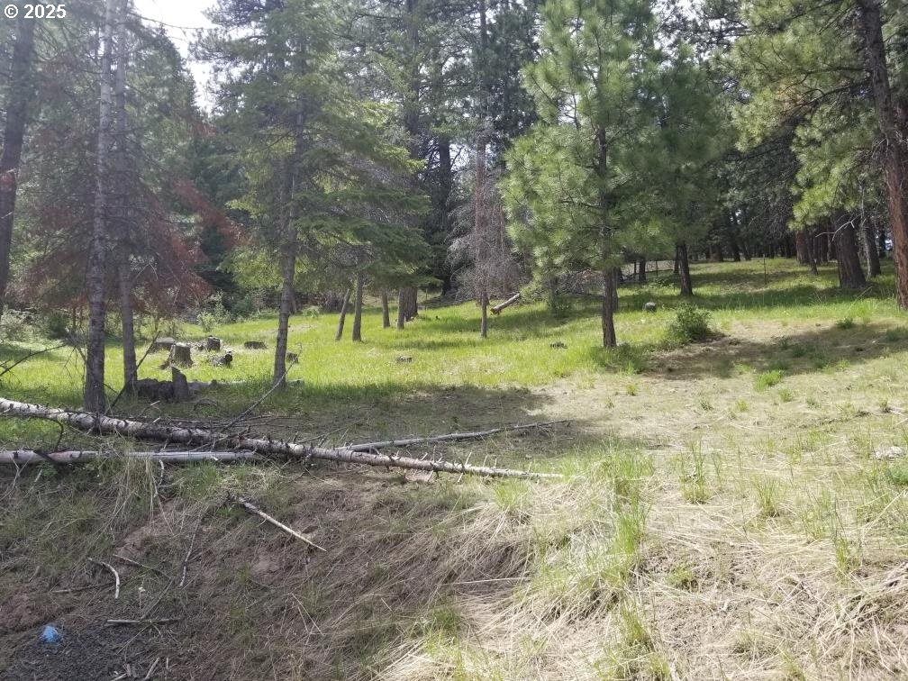 3300 Blake Ranch Lot 33, Heppner, OR 97836