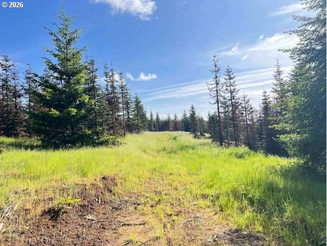 LODGE RD, Banks, OR 97106