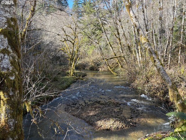 Steer Creek RD, Blodgett, OR 97326