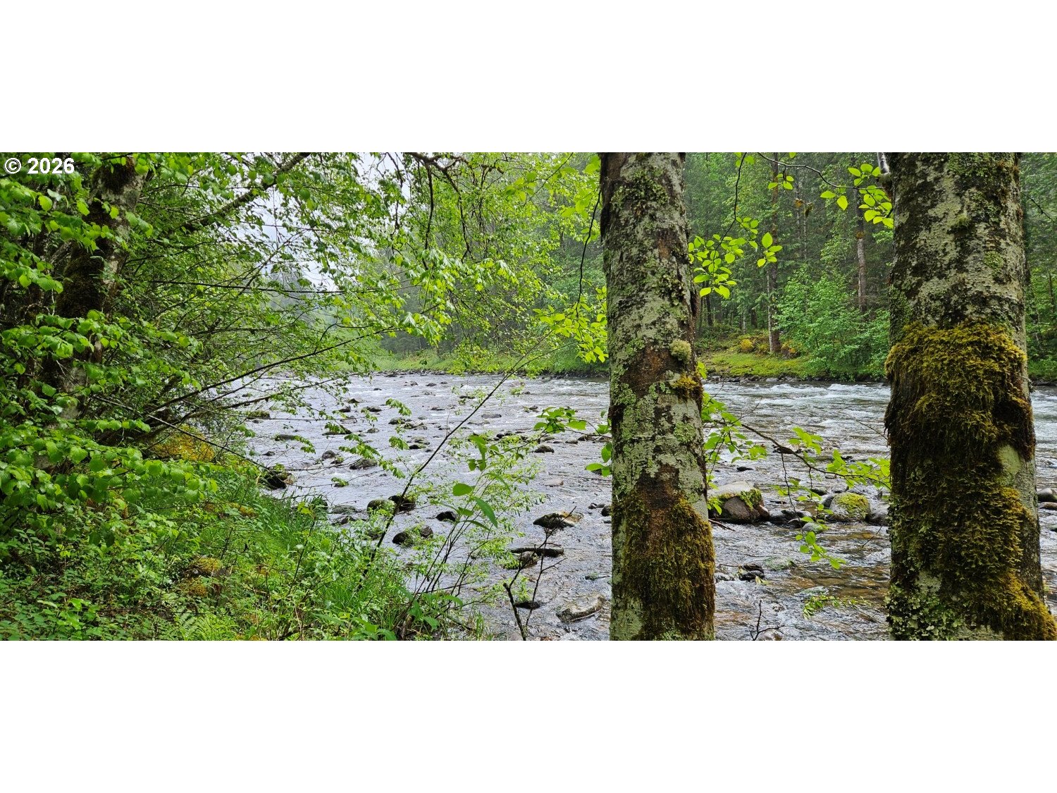 63956 BARLOW TRAIL RD, Rhododendron, OR 97049
