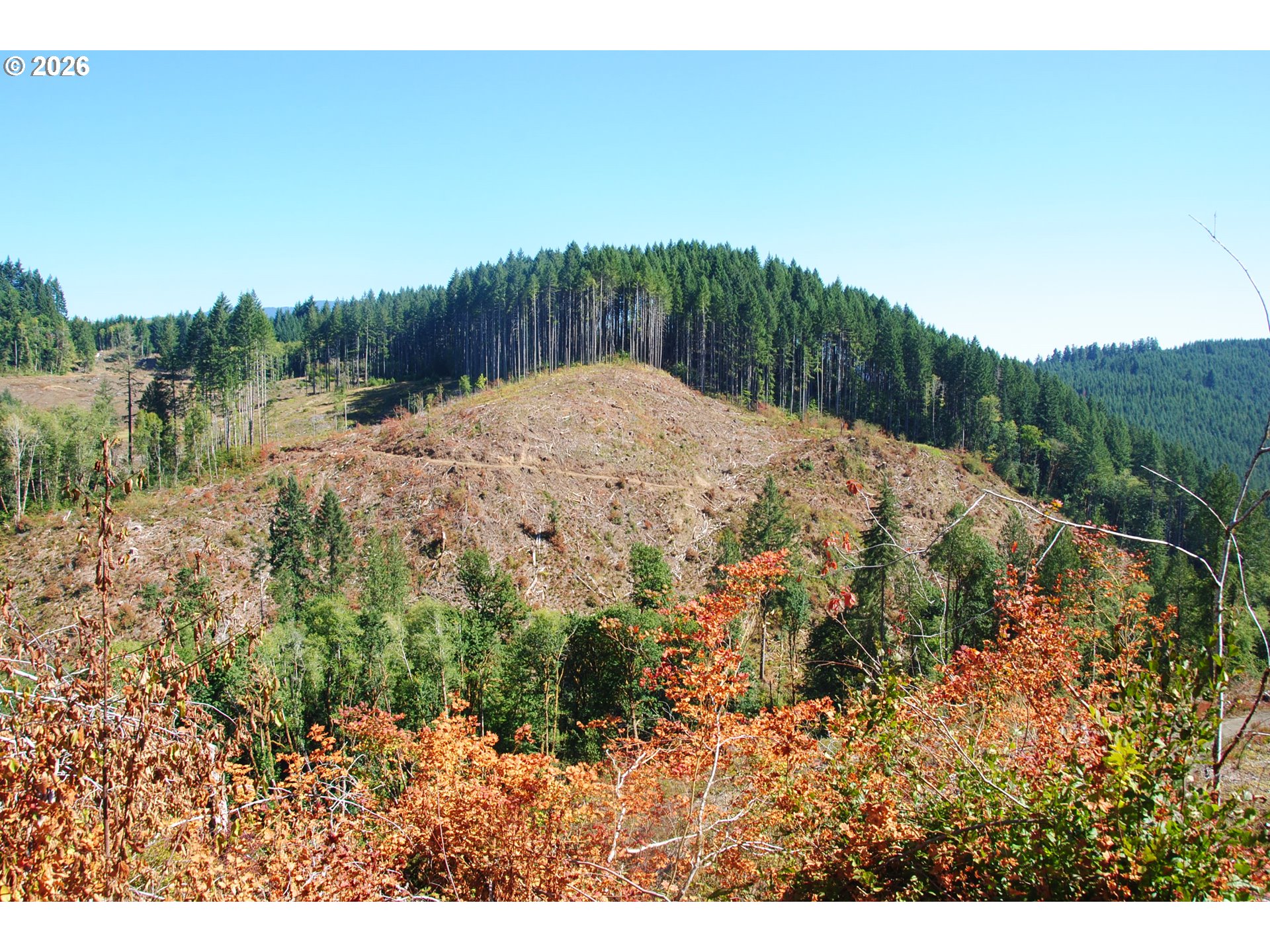 00 Van Horn (140) RD, Alsea, OR 97324
