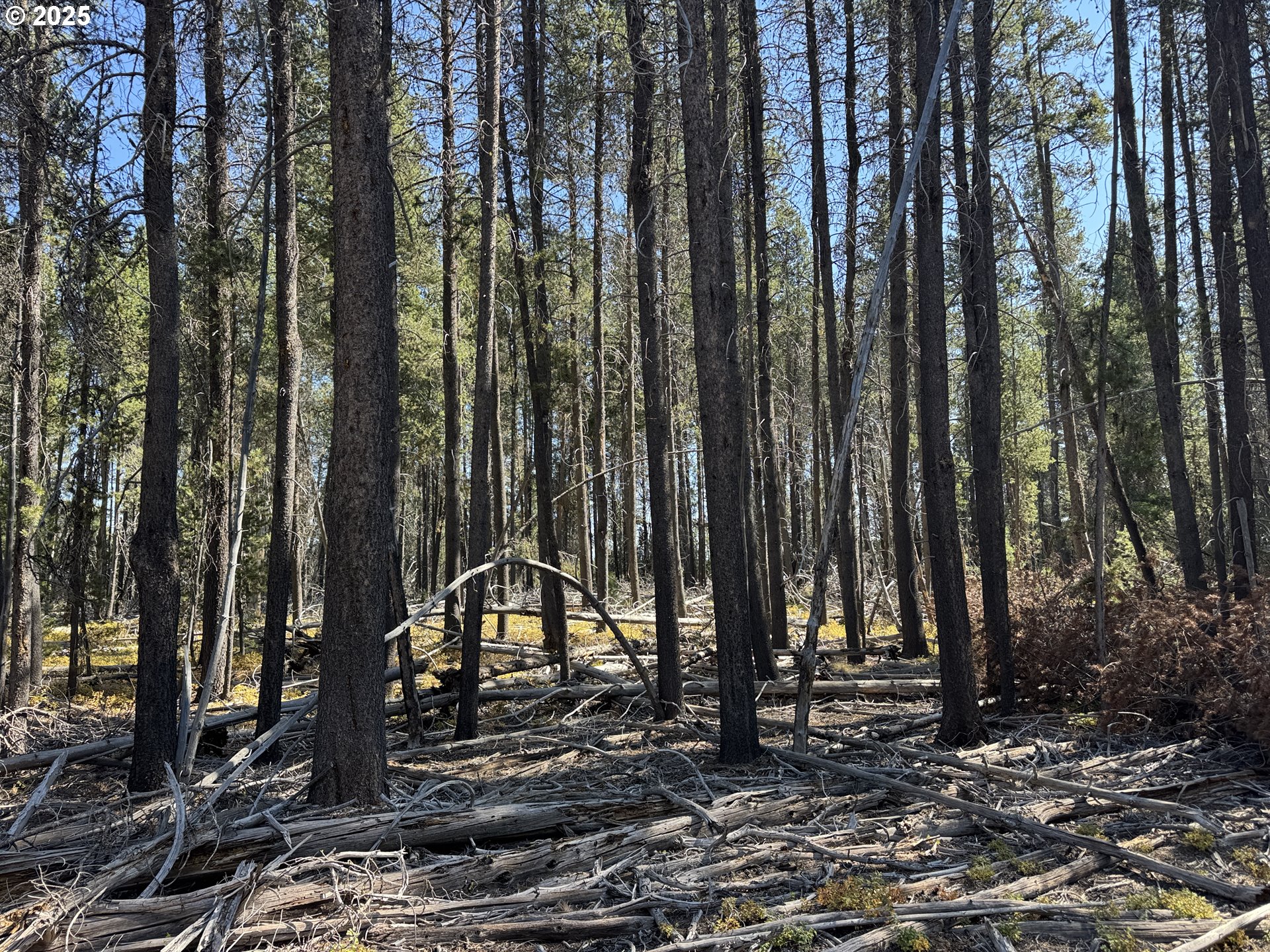 Cloudcap Drive, Chiloquin, OR 97624