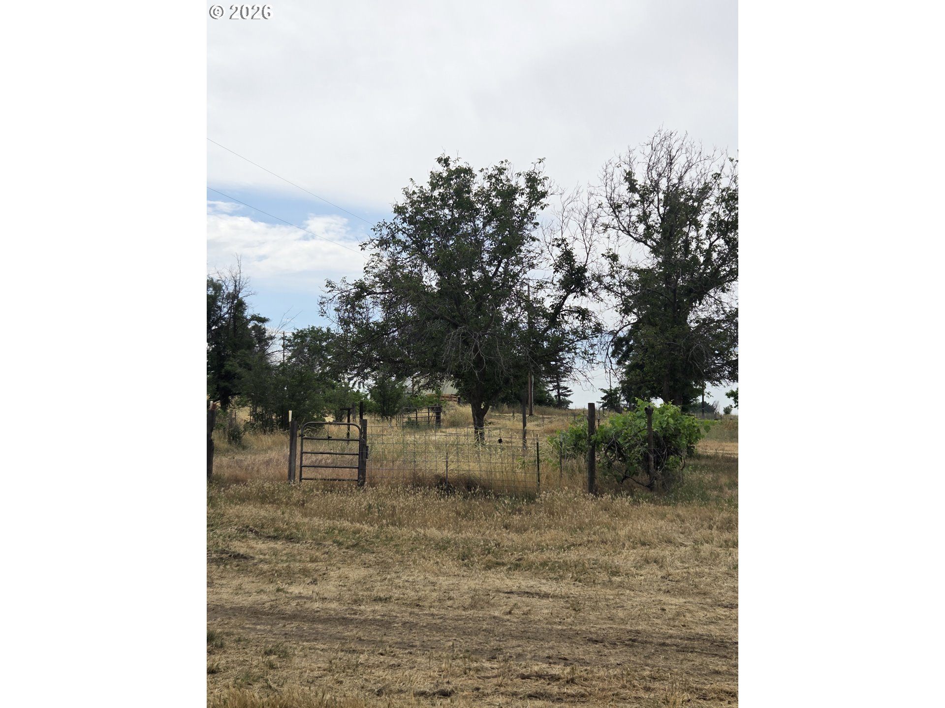 78936 Shoemake RD, Boardman, OR 97818