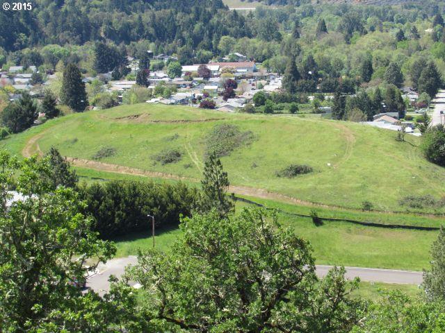 SIMPSON LN, MyrtleCreek, OR 97457