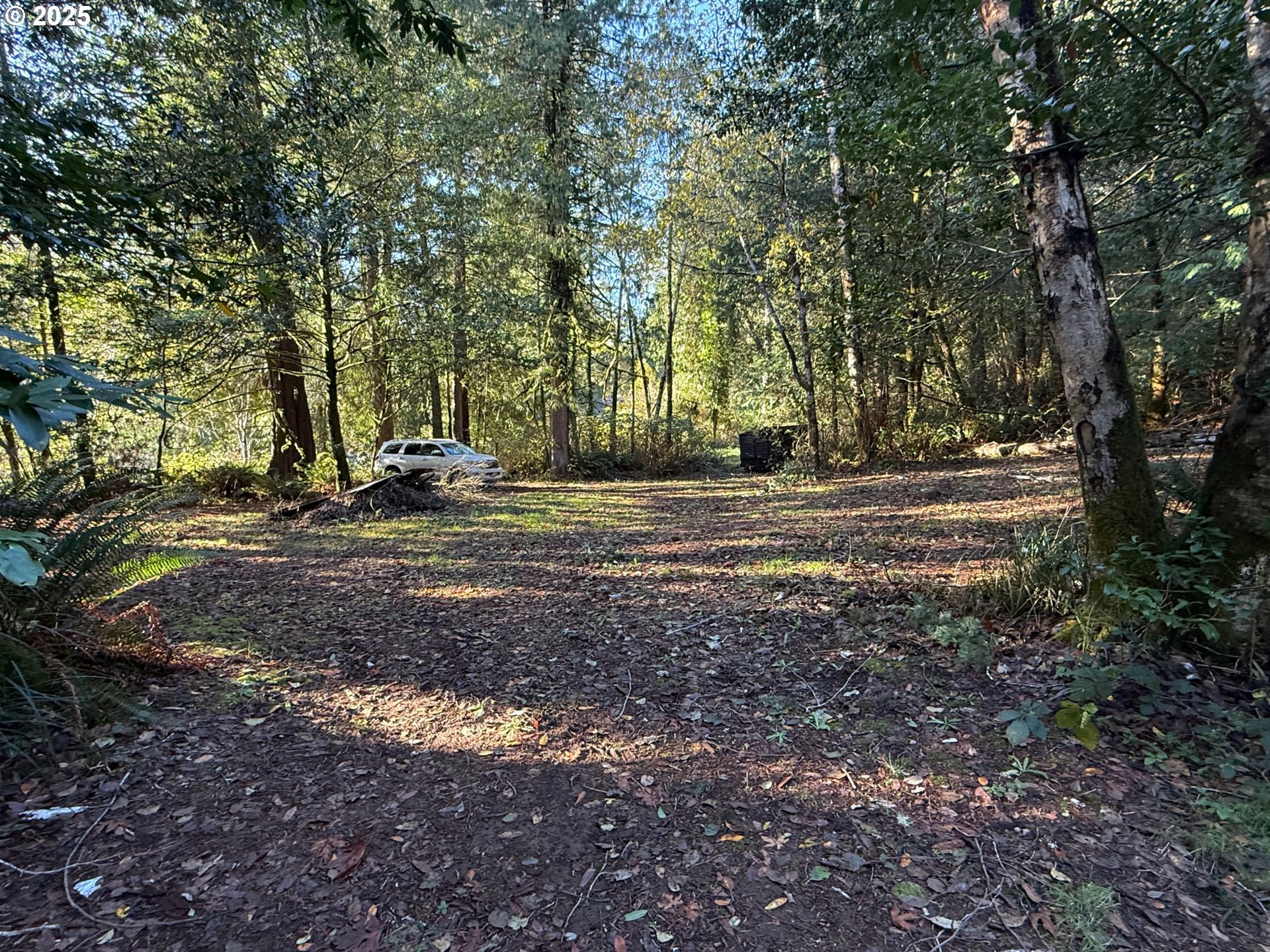 TIERNAN RD, Mapleton, OR 97453