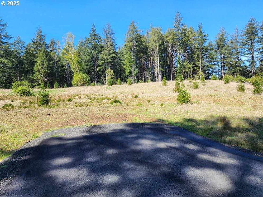 Hubbard Ln, PortOrford, OR 97465