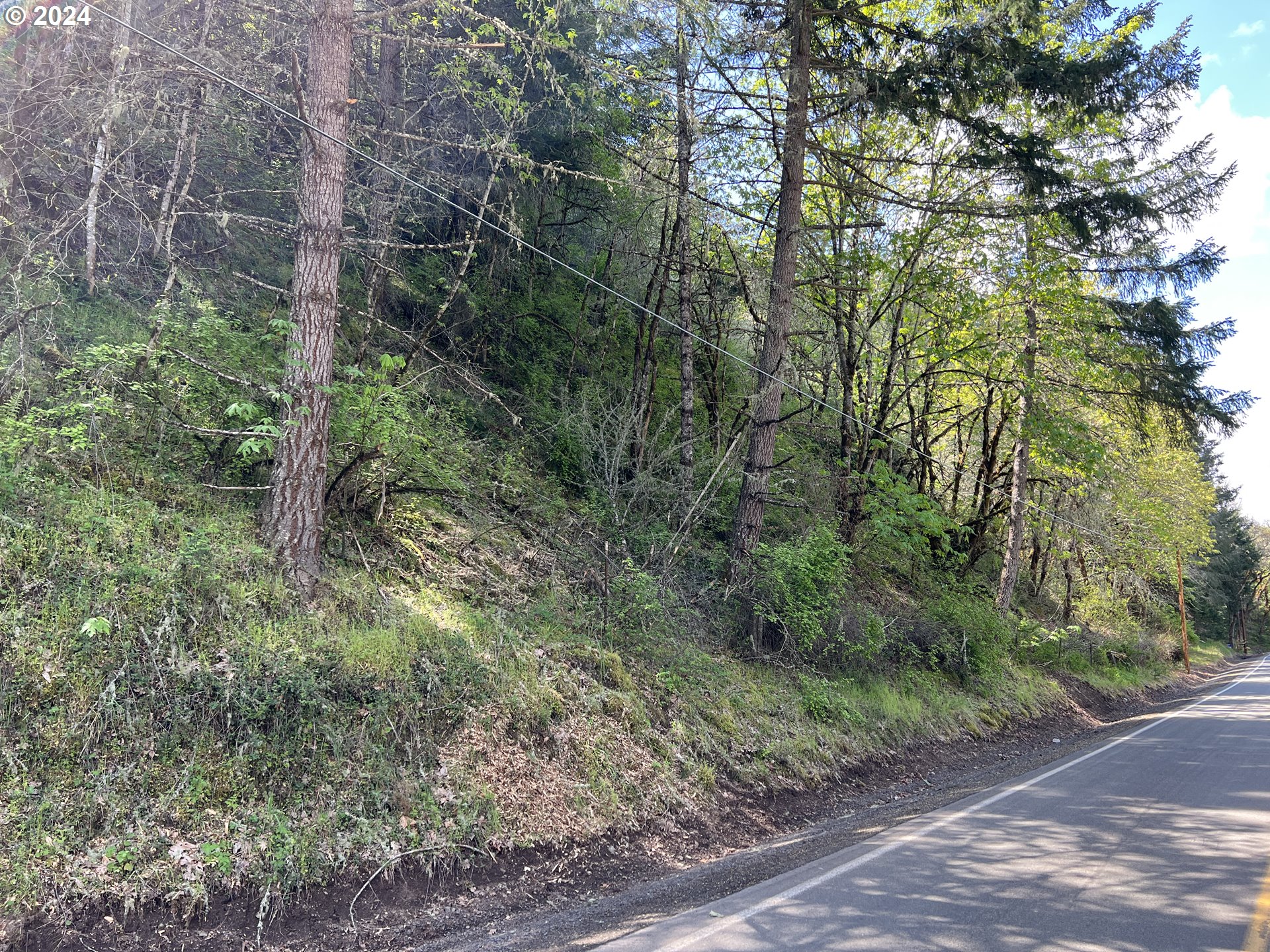 000300 CLARKS BRANCH RD, MyrtleCreek, OR 97457