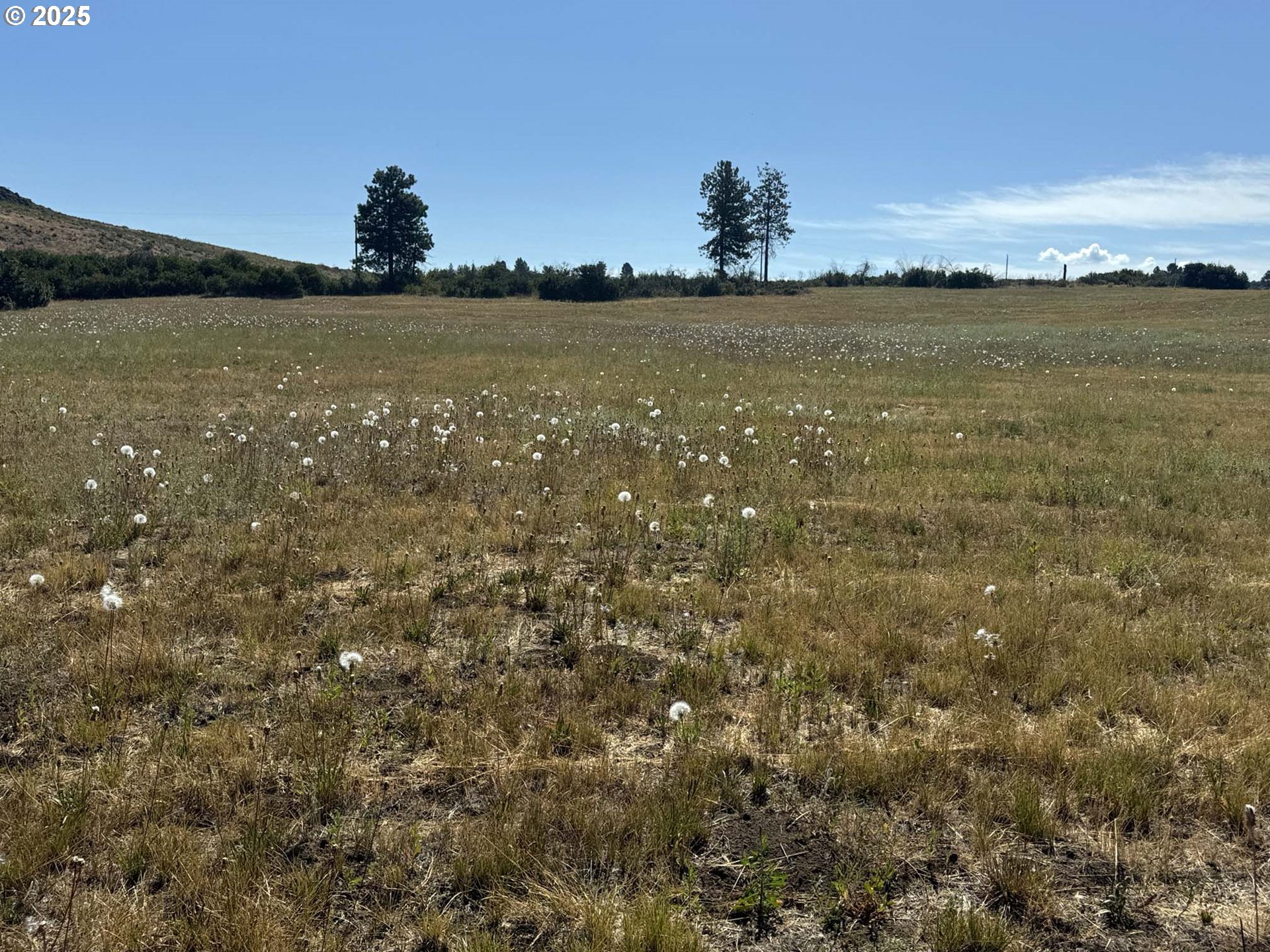 Bennie Lane, Chiloquin, OR 97624