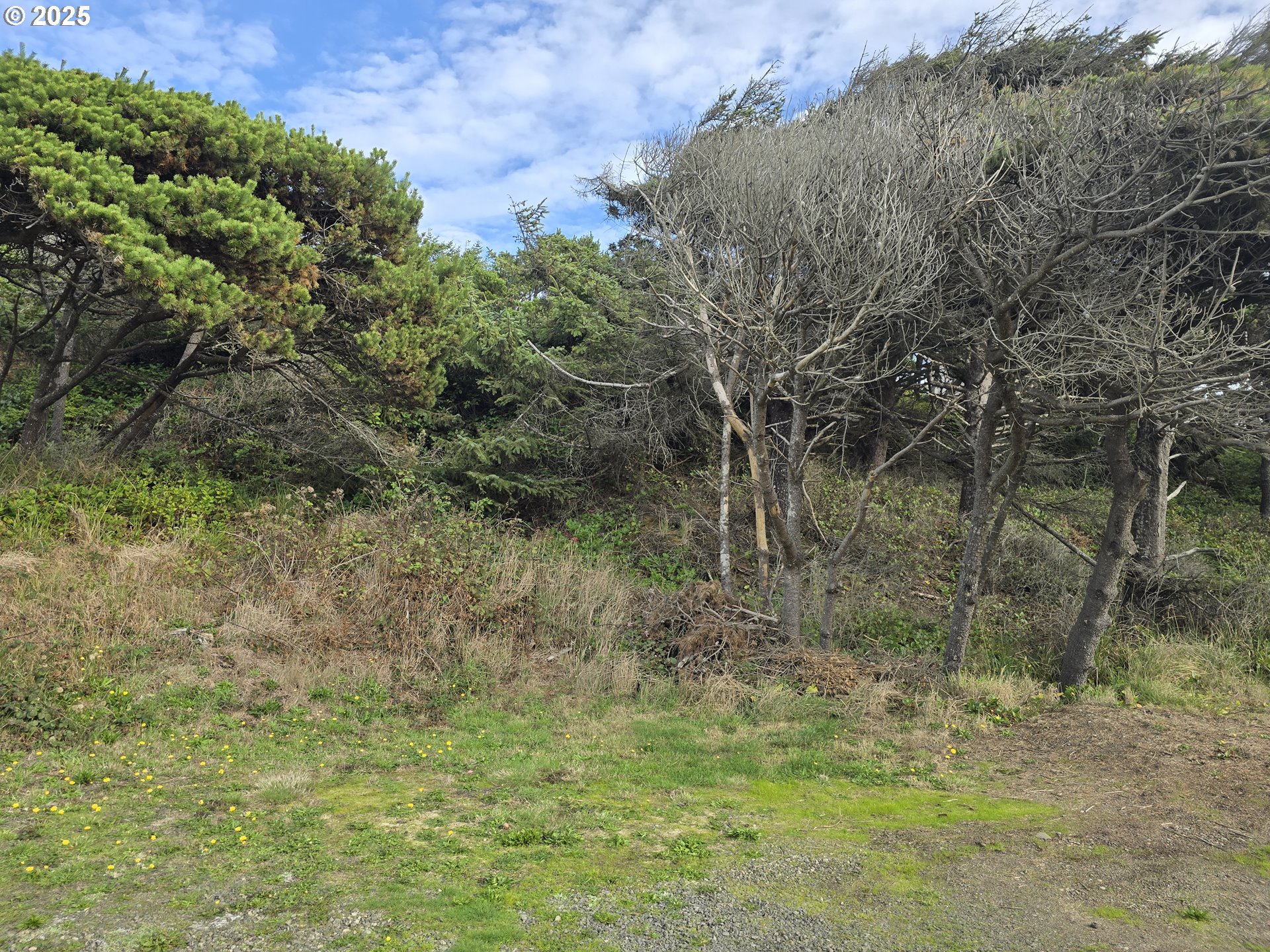 Lookout ST, Florence, OR 97439