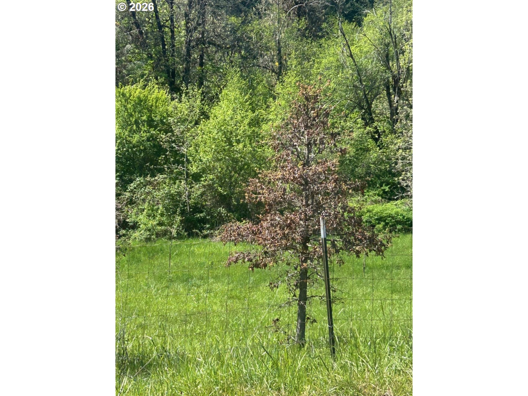 Rock Creek RD, Sheridan, OR 97378