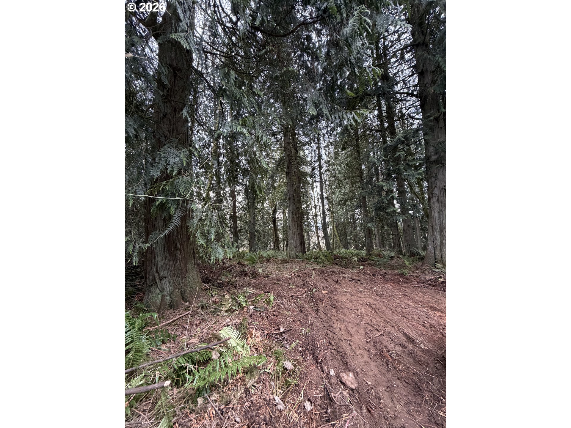 Meserve RD, Rainier, OR 97048