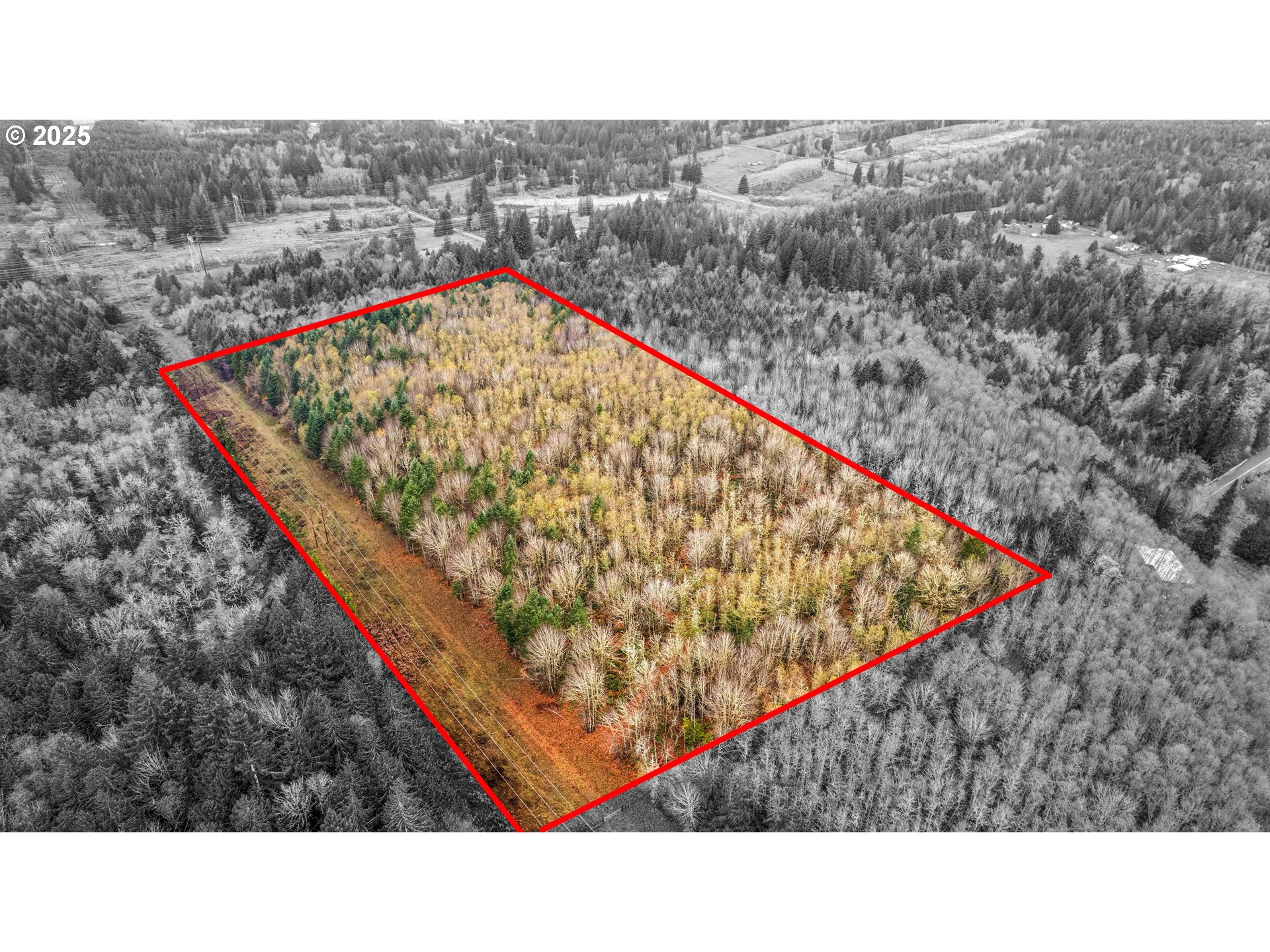 Old Rainier RD, Rainier, OR 97048
