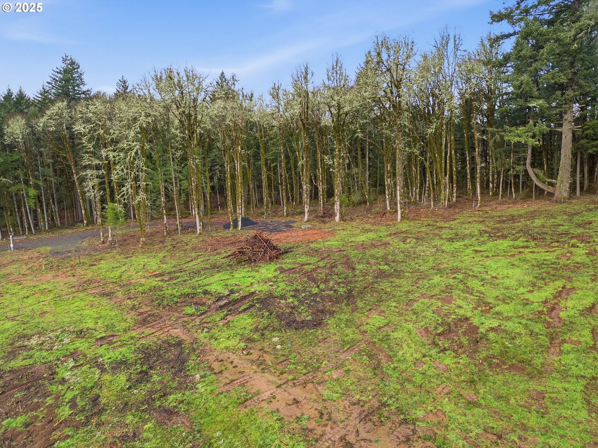 Berry Creek RD, McMinnville, OR 97128