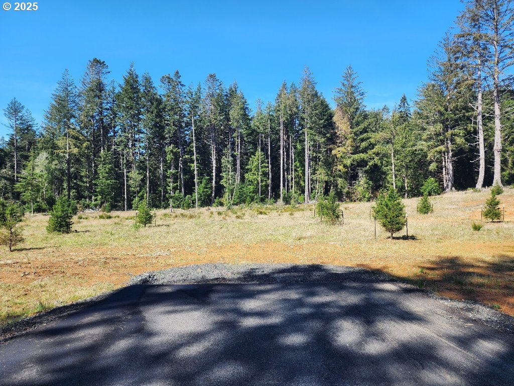 Hubbard LN, PortOrford, OR 97465